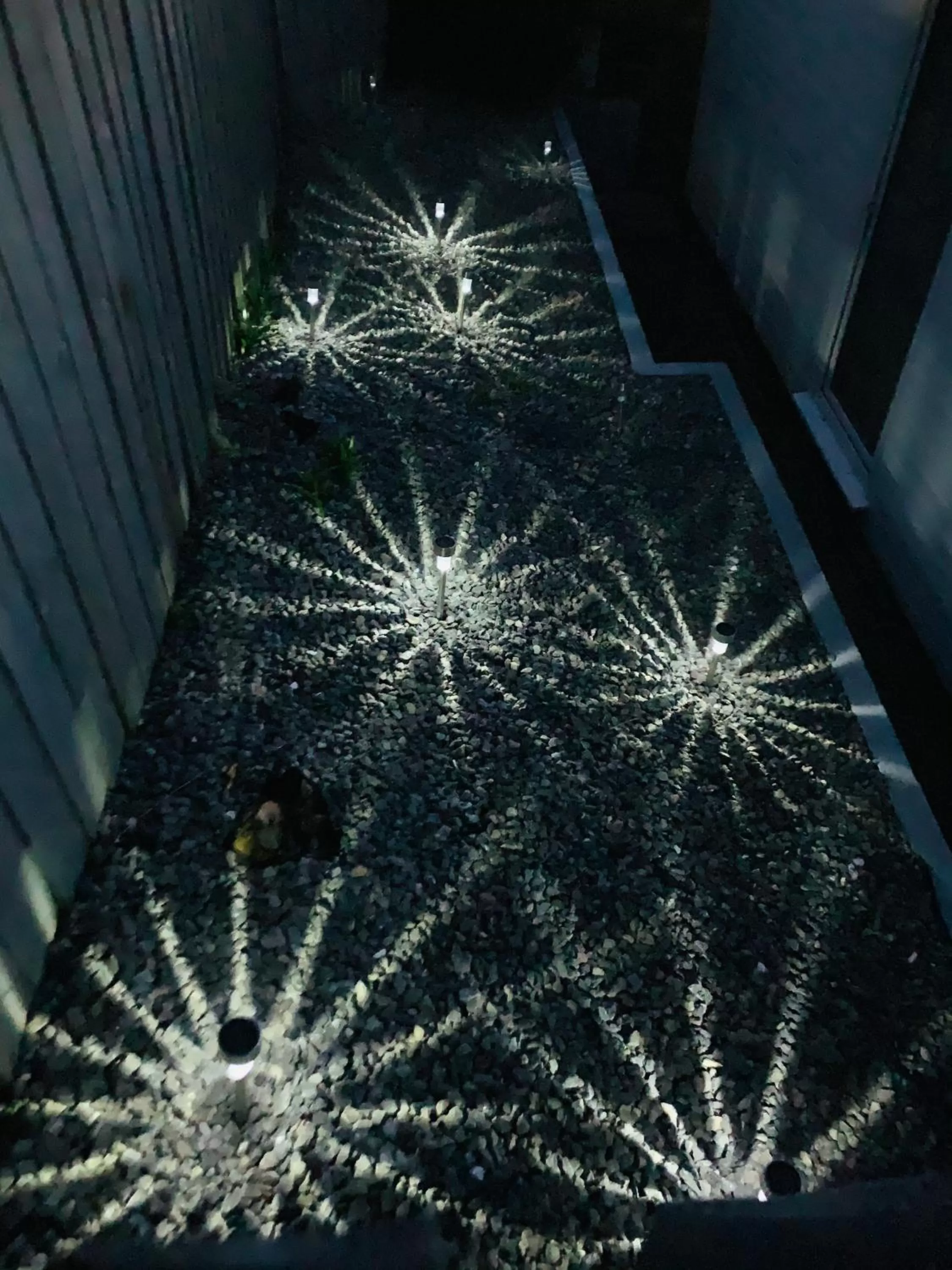 Nicolas Devon air bed and breakfast