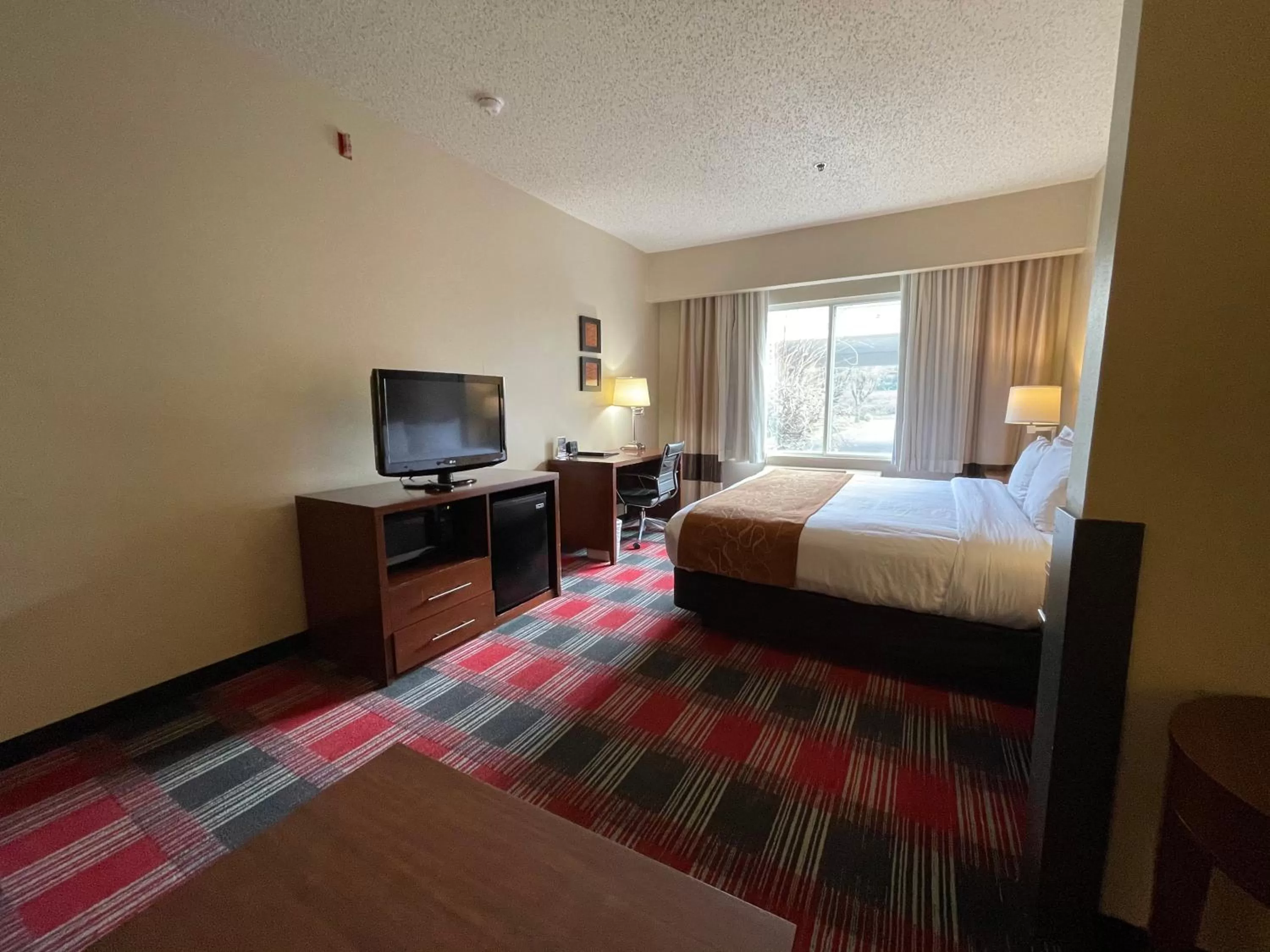 Photo of the whole room, Bed in Comfort Suites Near Vancouver Mall