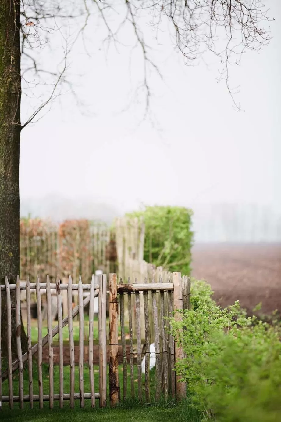 Garden in Bed and Breakfast Bedstay op 8