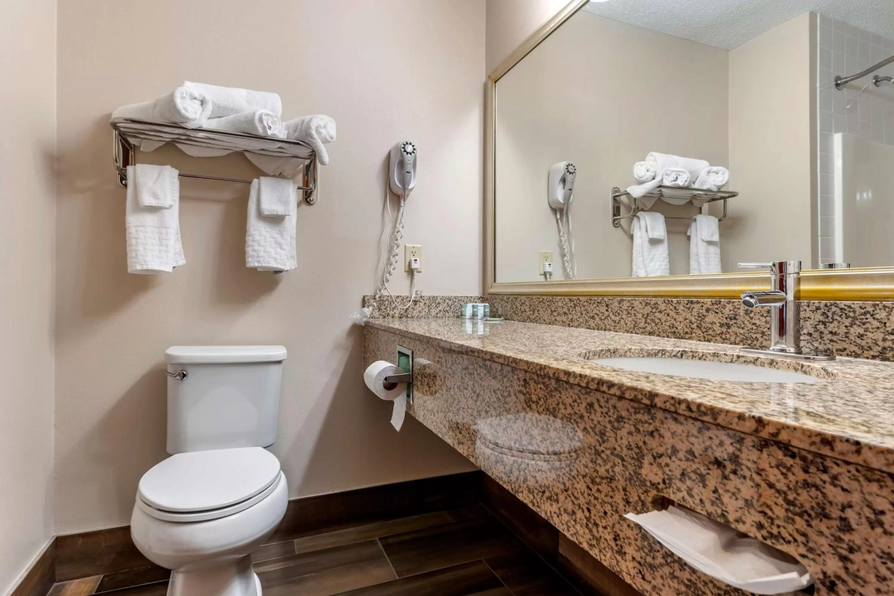 Bathroom in Best Western the Inn at the Fairgrounds