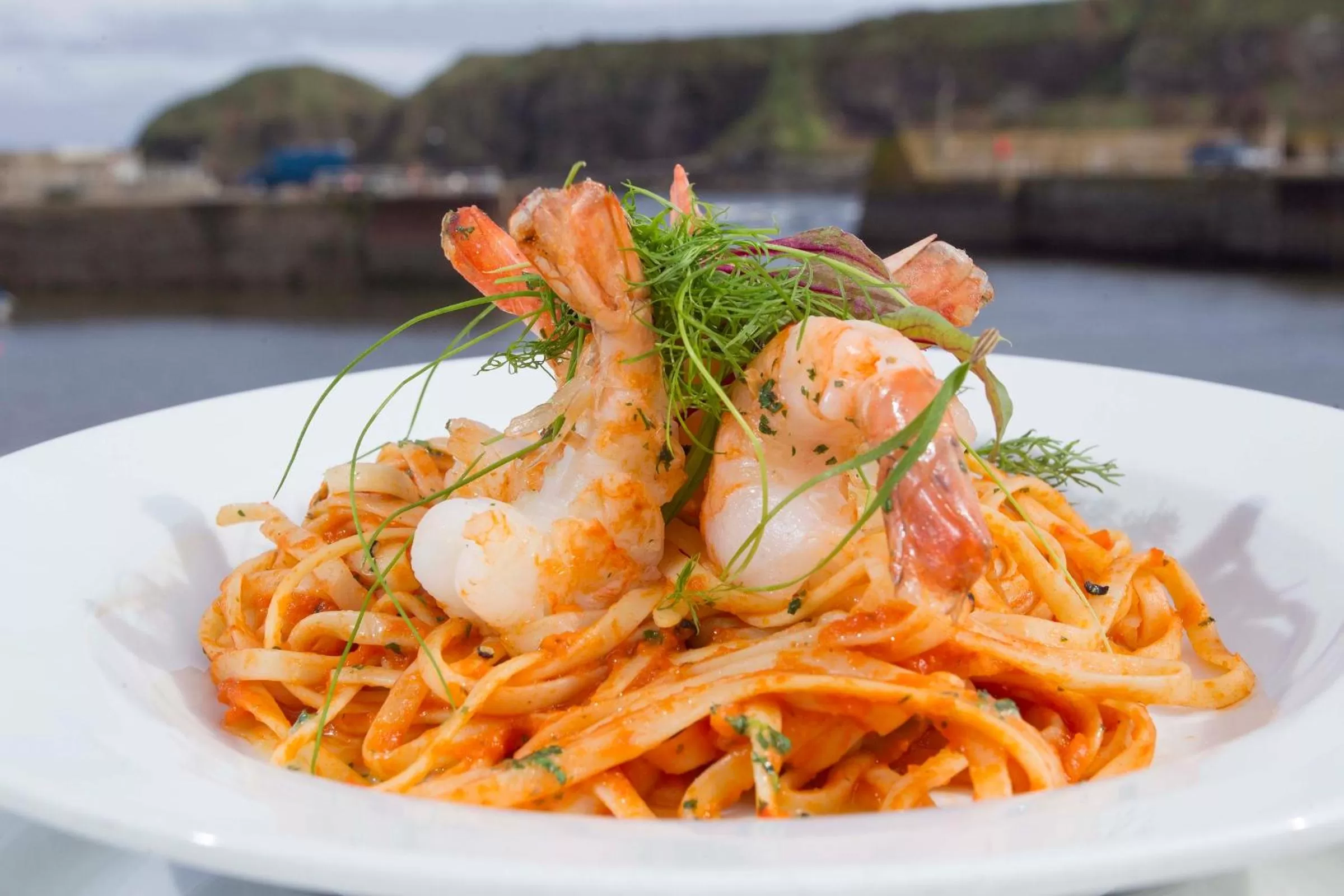 Food close-up in The Ship Inn