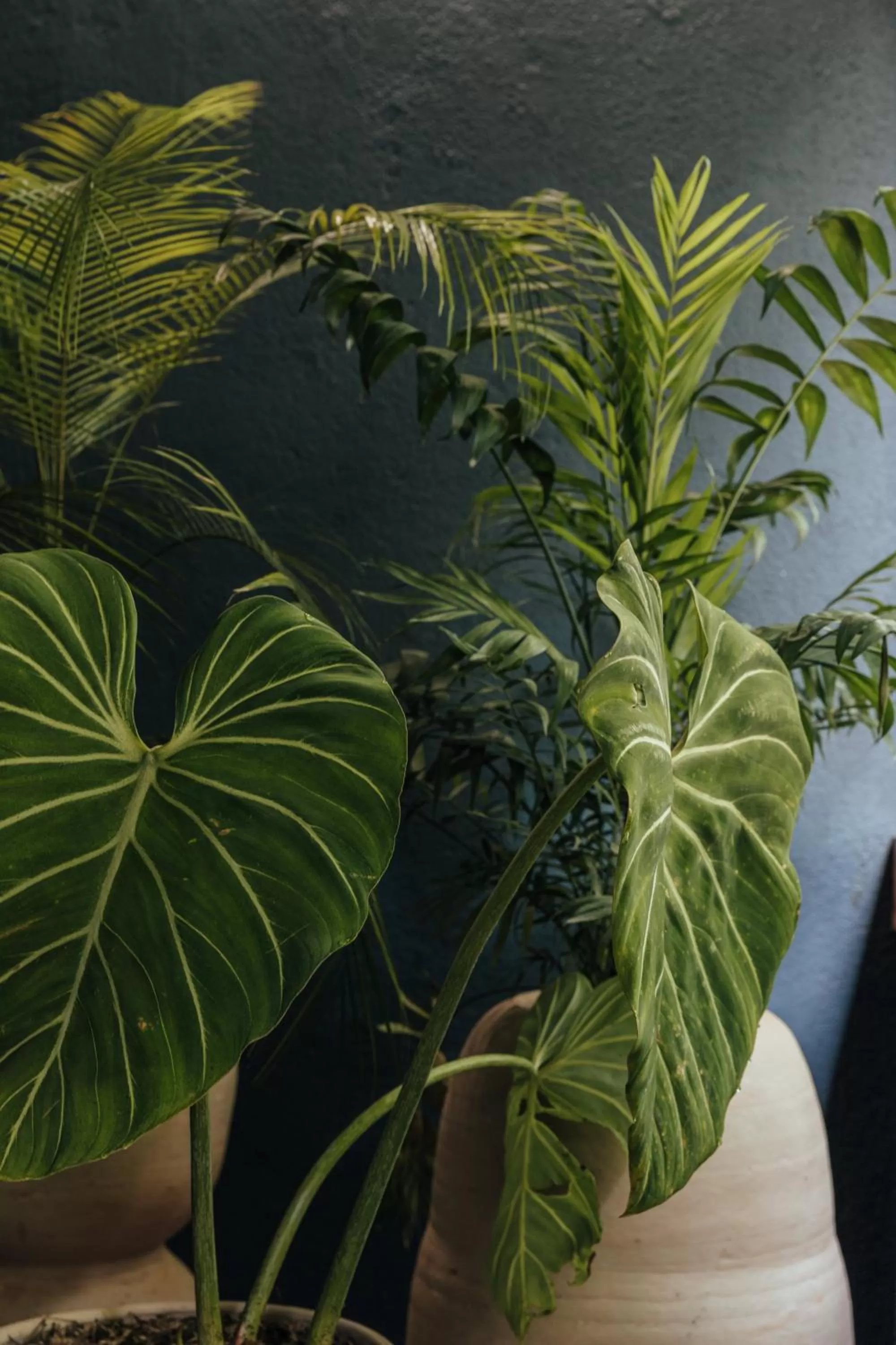 Balcony/Terrace in Sui Posada Boutique