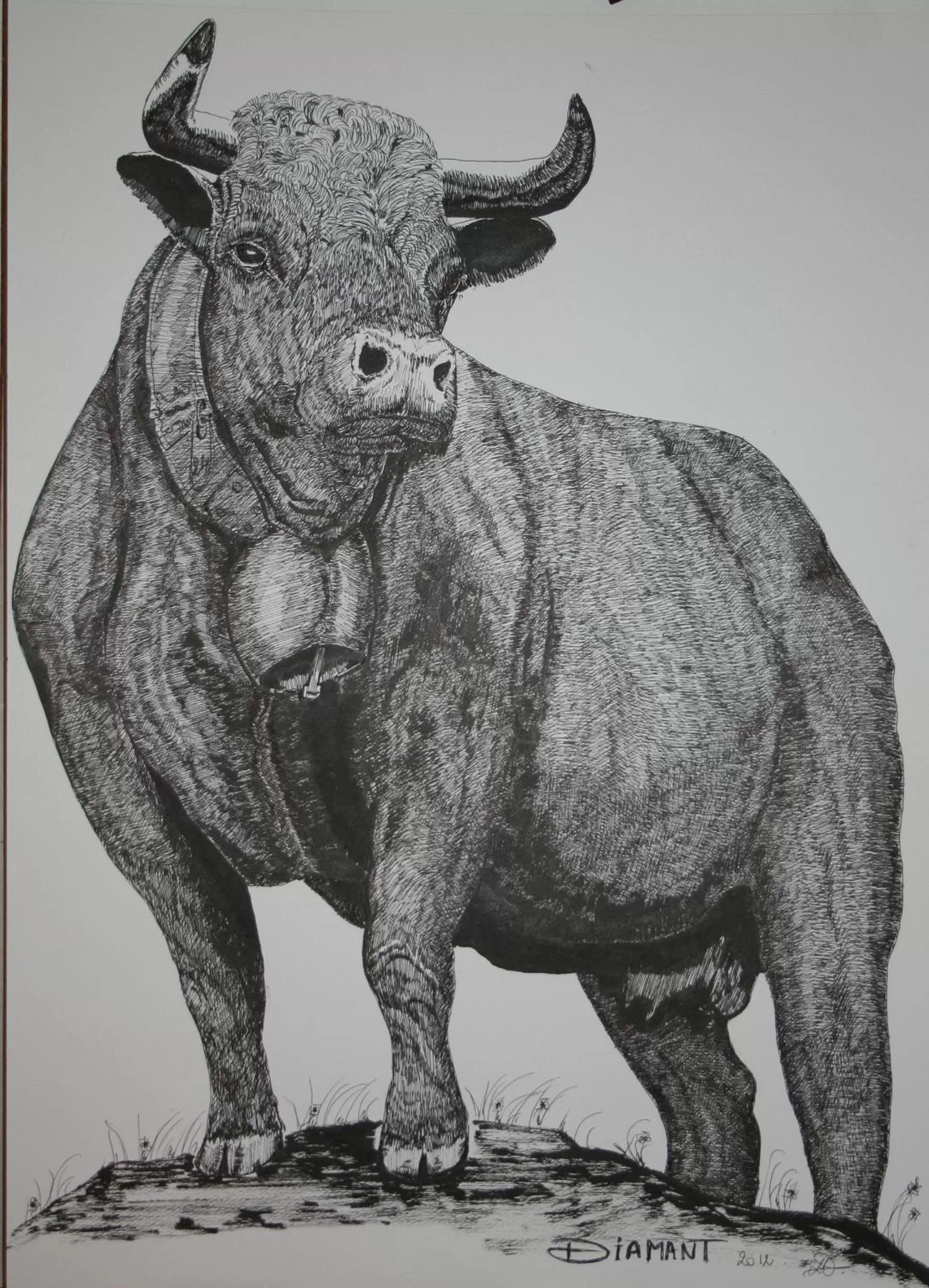 Activities in BnB Claudy et Elizabeth Michellod-Dutheil