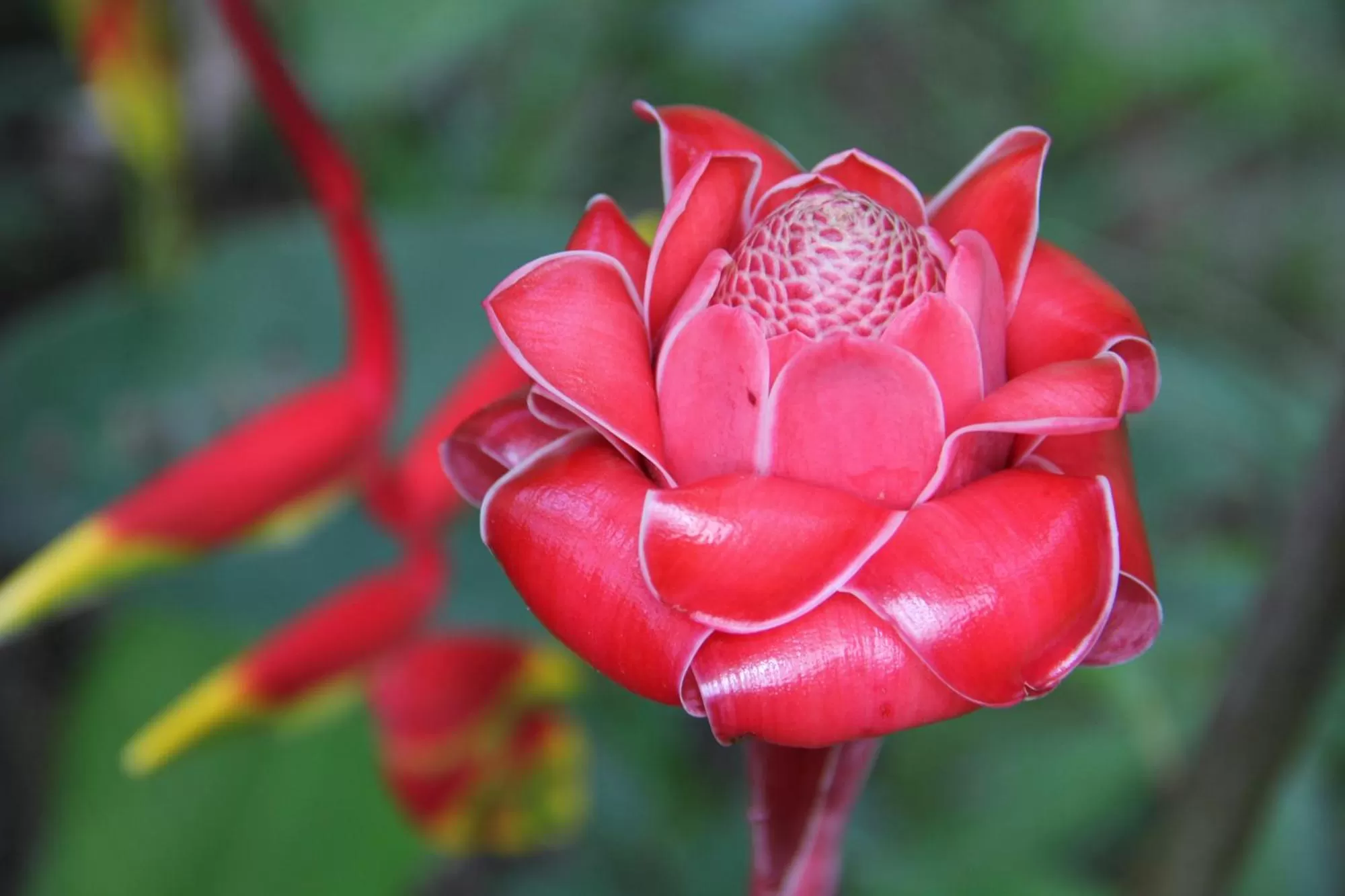 Other in Sun Creek Lodge