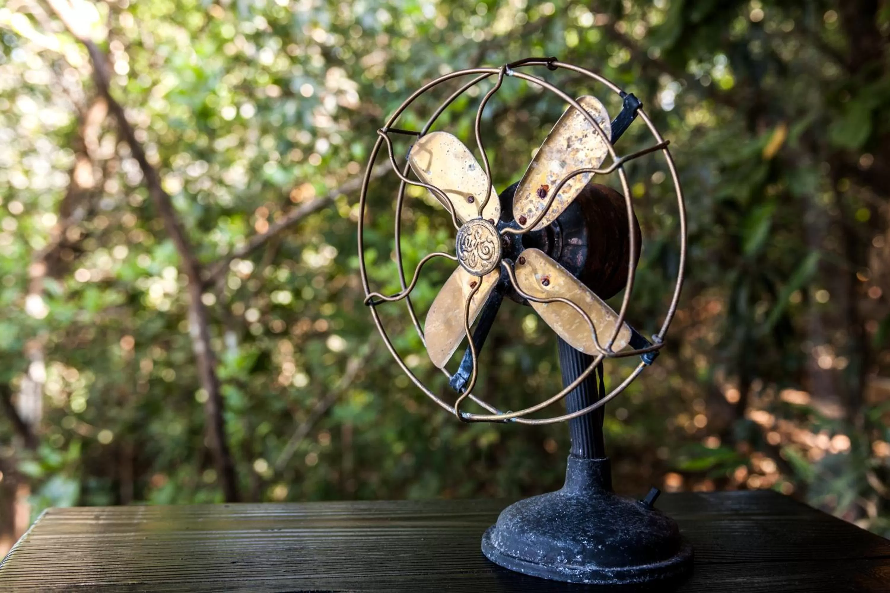 Decorative detail in The Machan