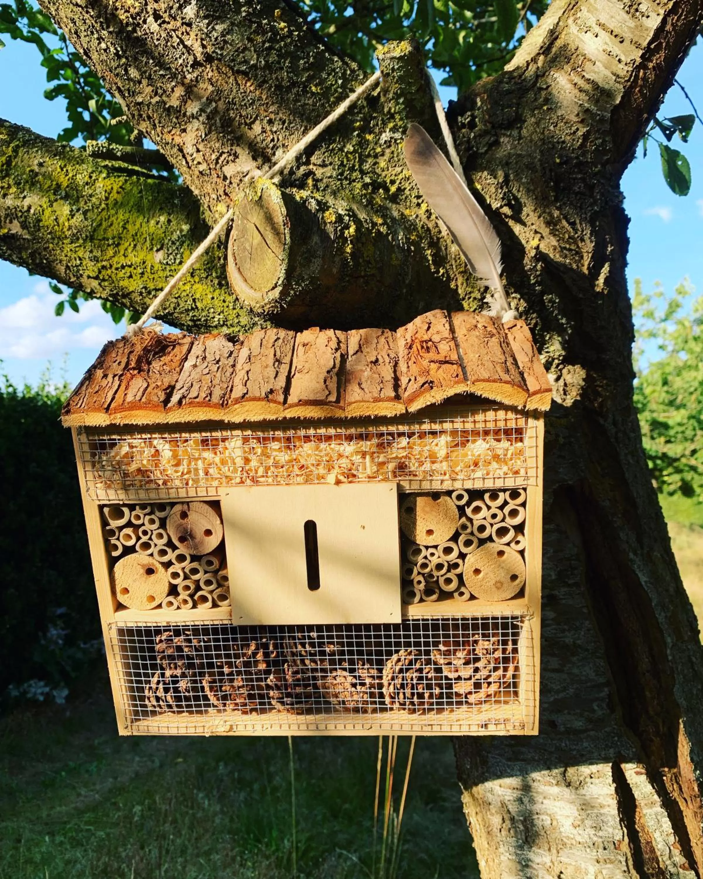 Hamiora wellness B&B