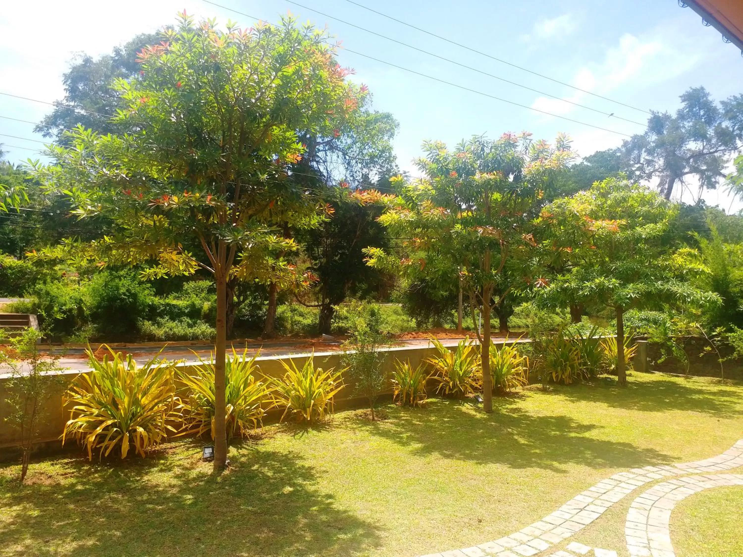 Garden in Honey Tree Polonnaruwa