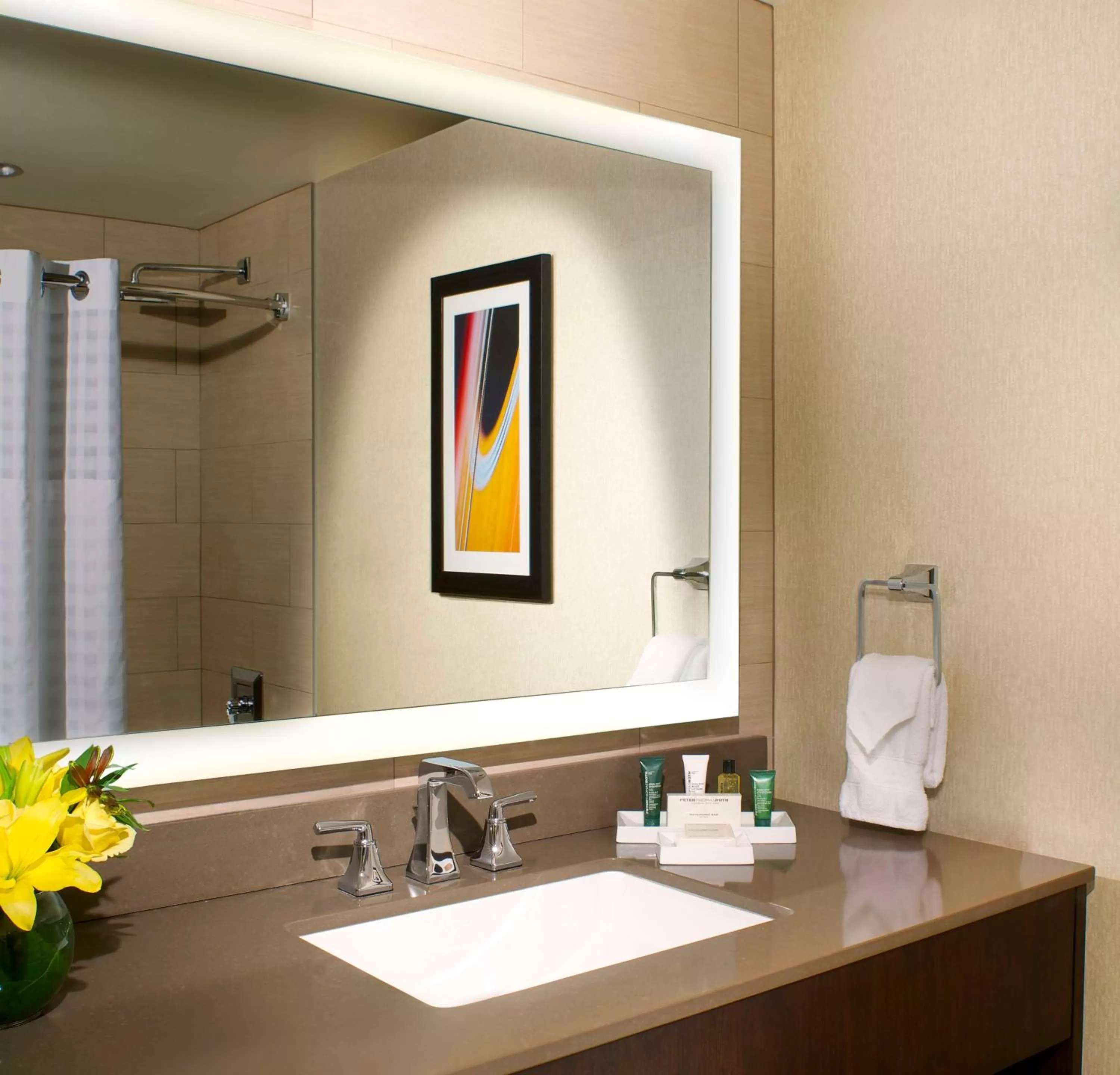 Bathroom in Hilton Austin