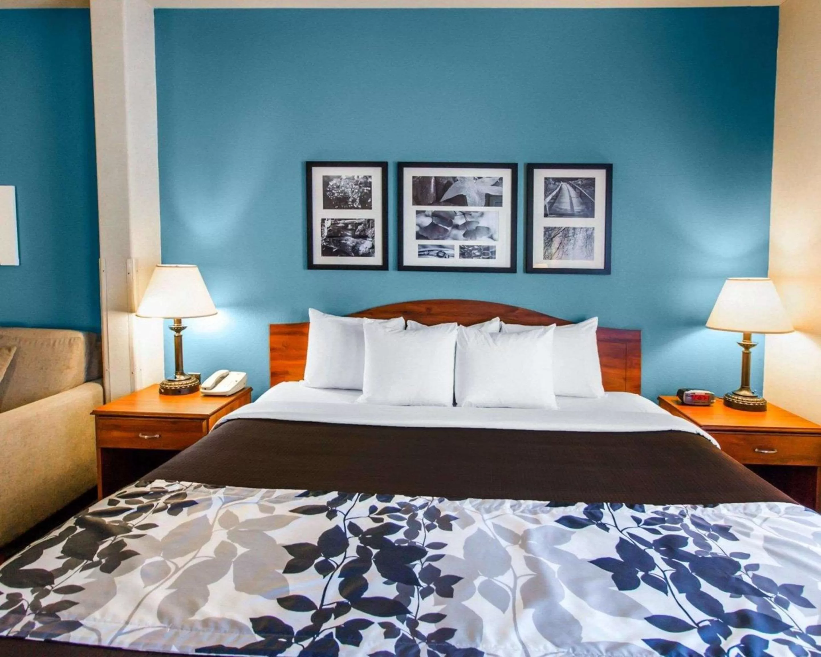 Photo of the whole room, Bed in Sleep Inn & Suites Evansville - Casper