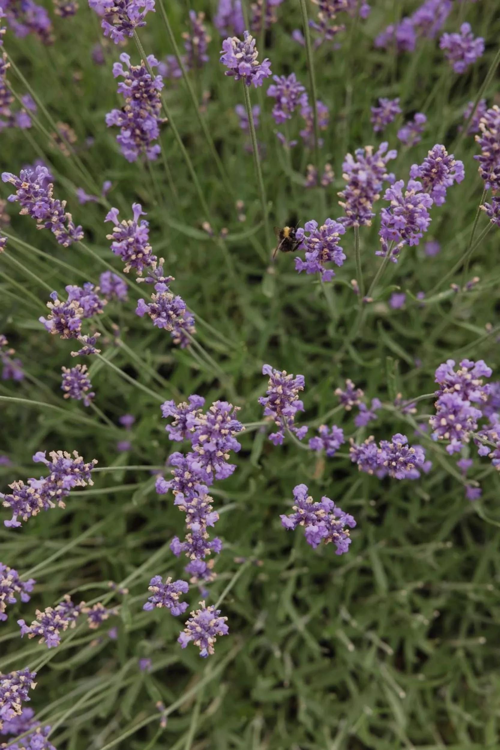 Property building in Hotel Kreuz