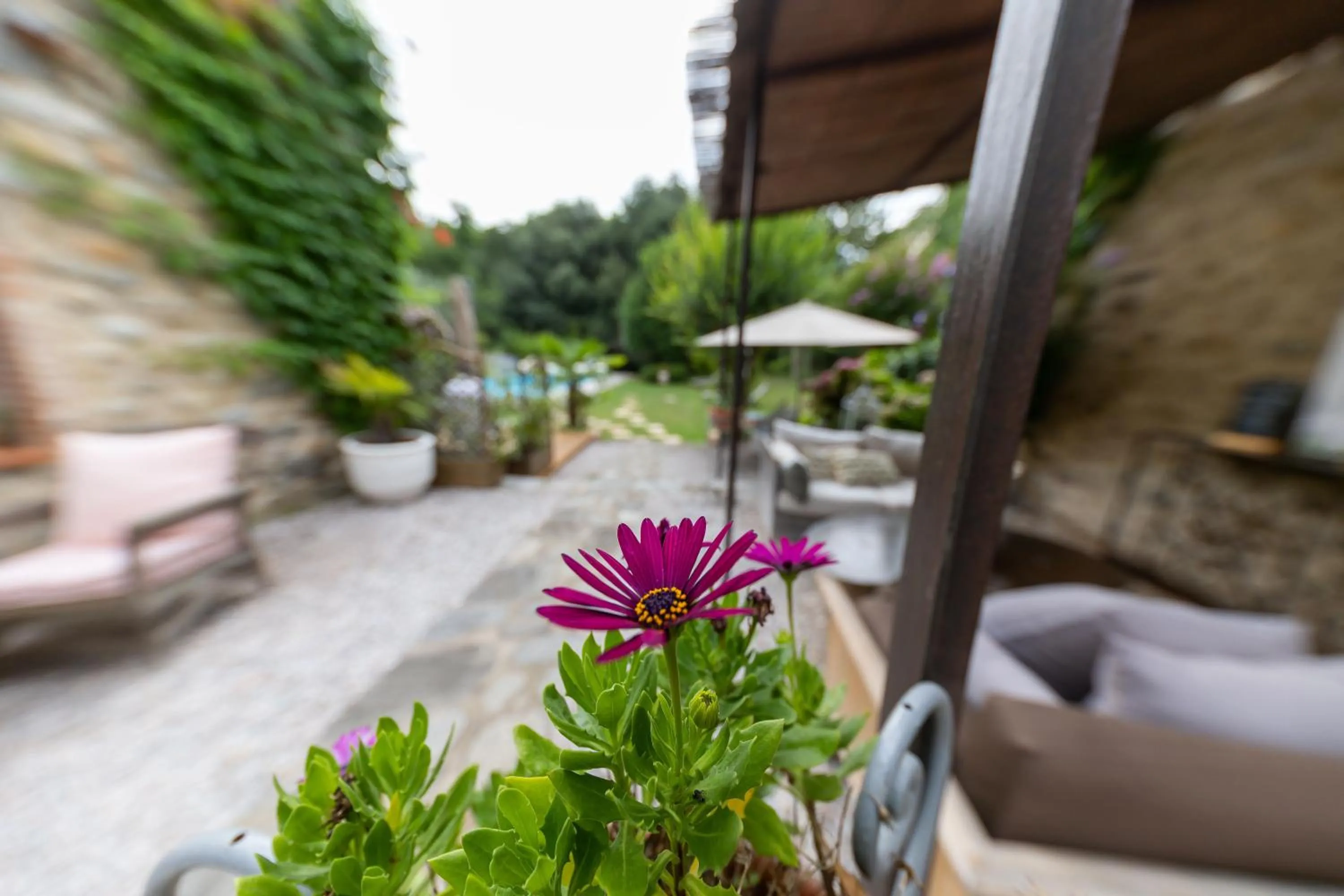 Hotel Le Mas Trilles