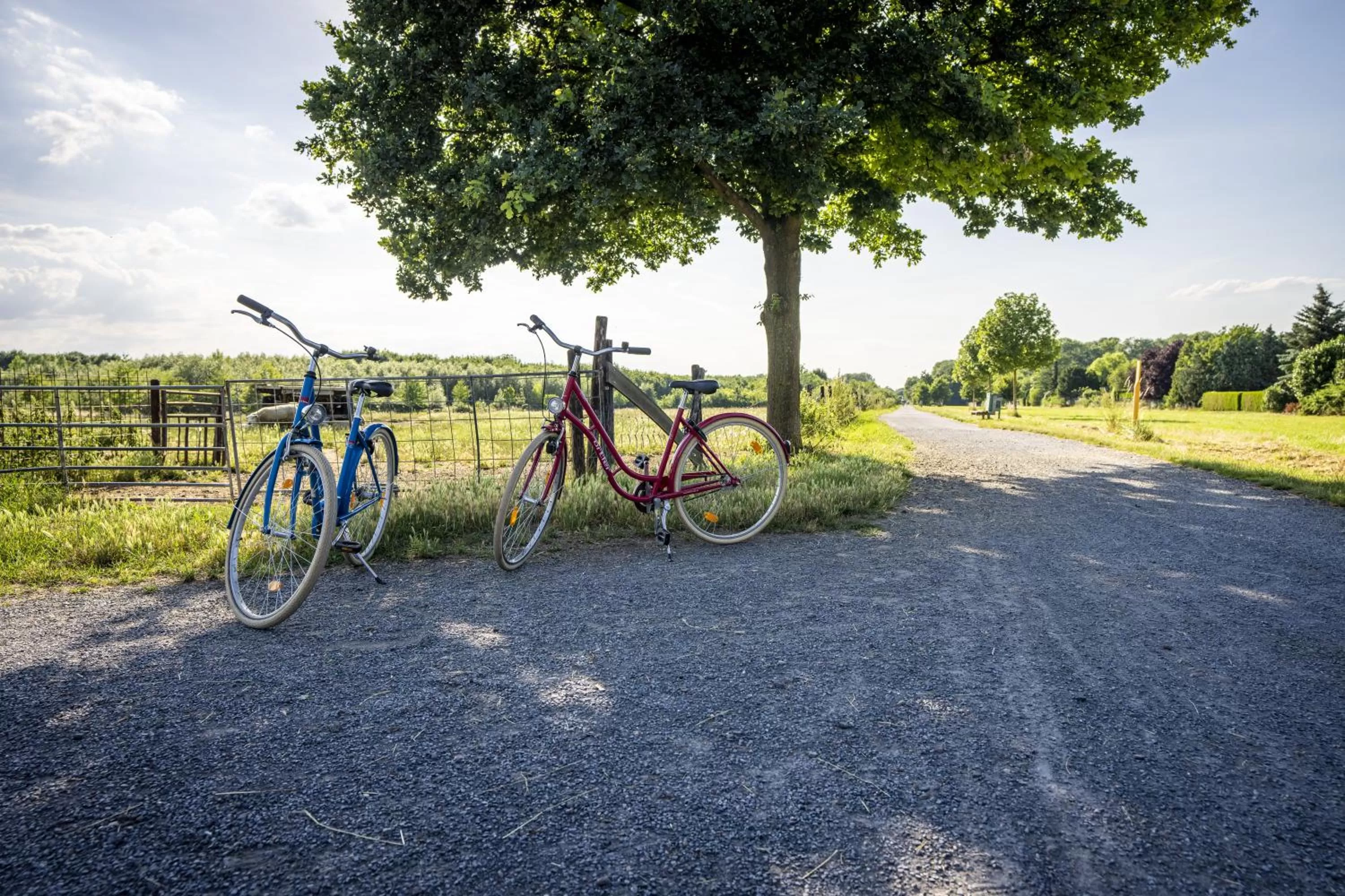 Off site in Hotel Bergheim