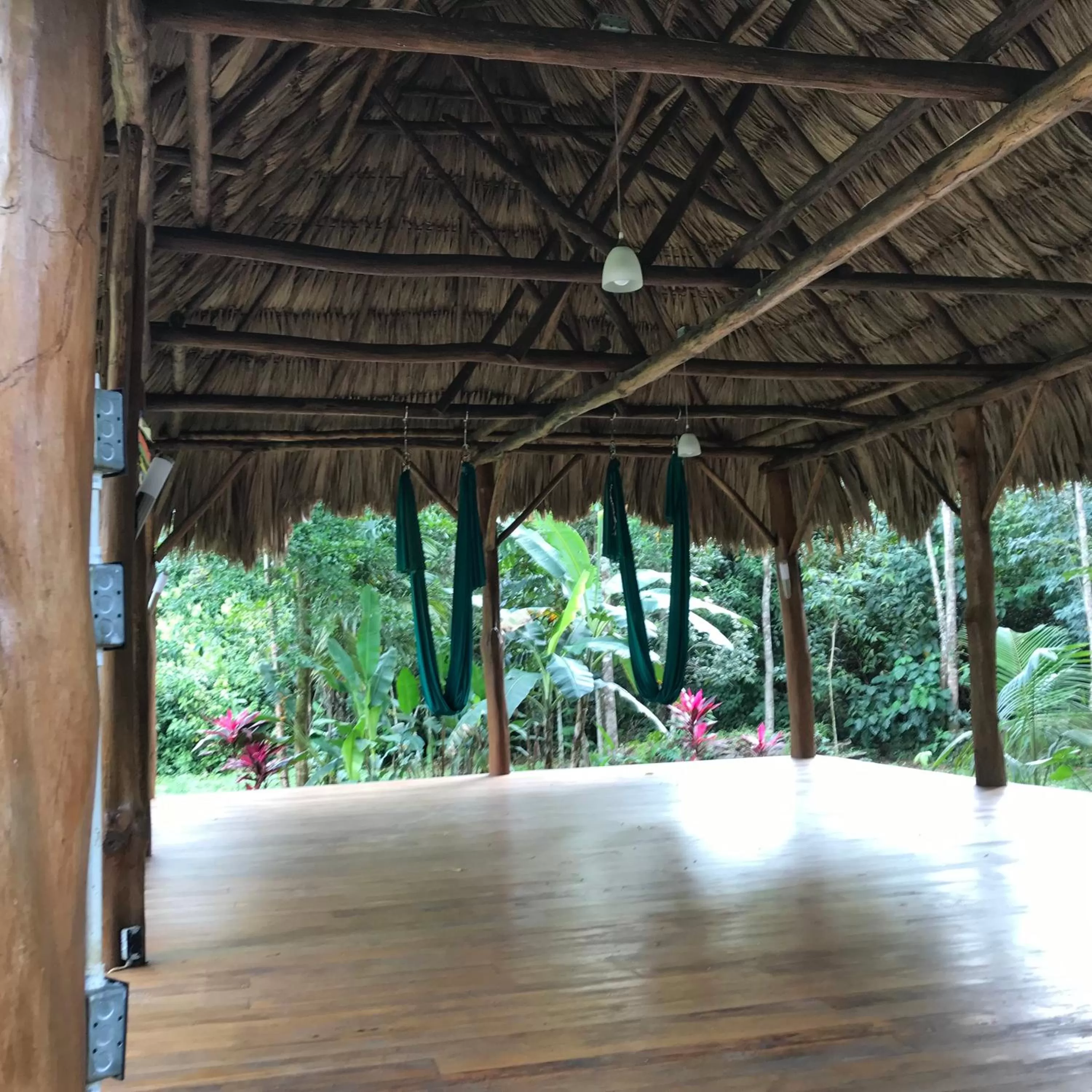 Activities in Sattva Land