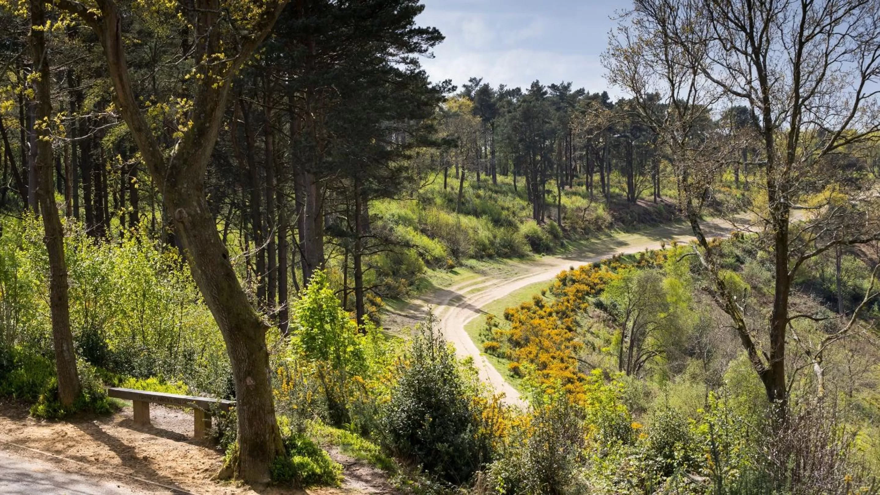 Nearby landmark in voco Lythe Hill Hotel & Spa by IHG