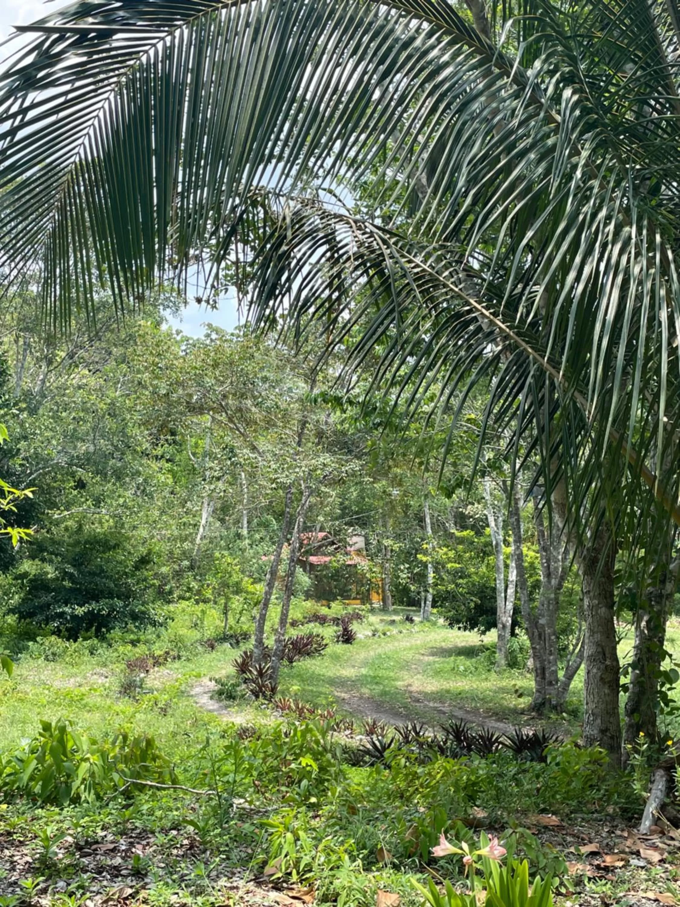 Ecohabitat Calakmul