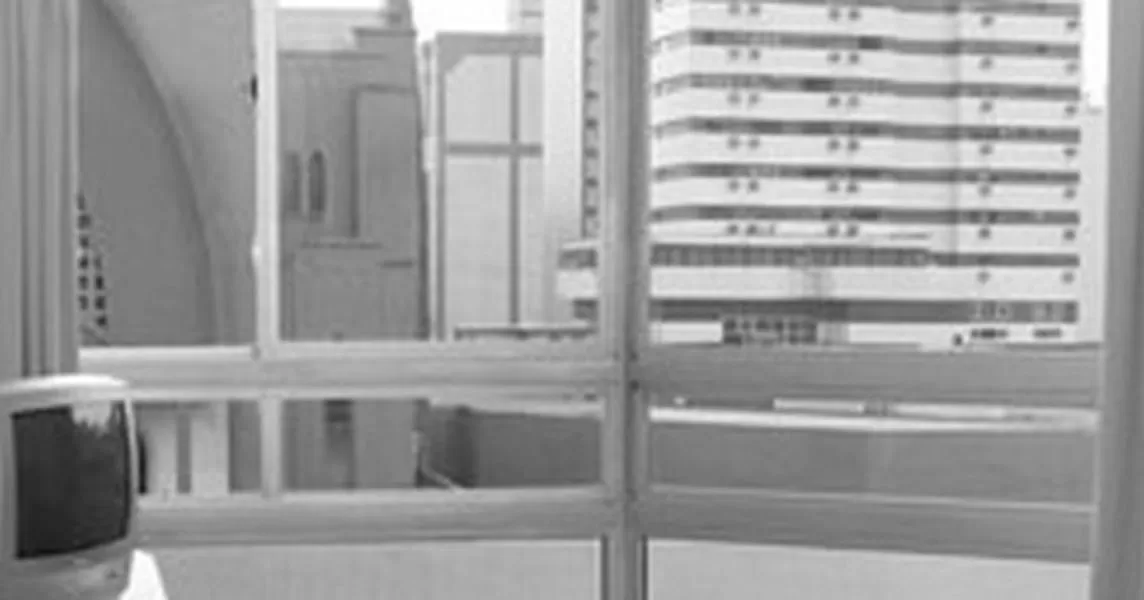 View (from property/room) in Euro Hotel