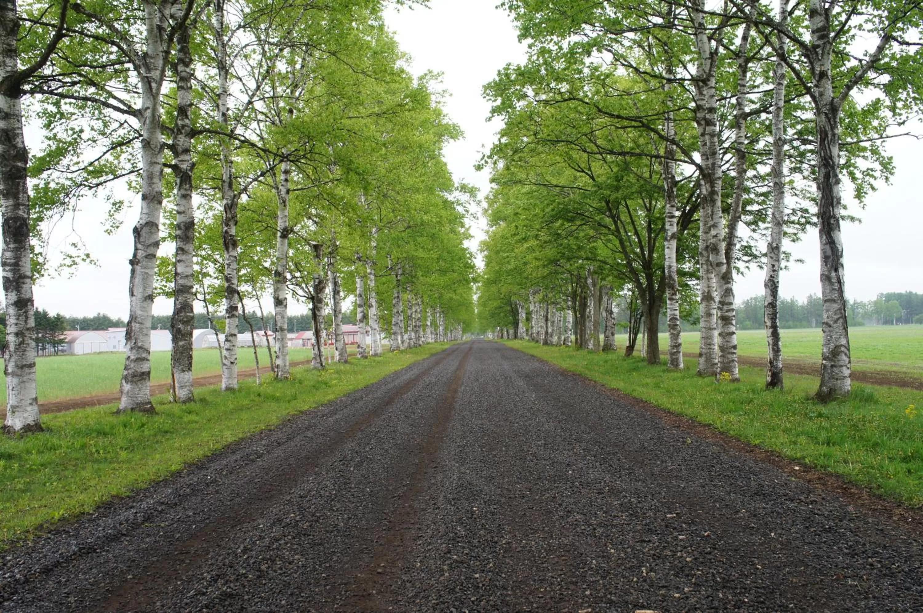 Off site in Premier Hotel -CABIN- Obihiro