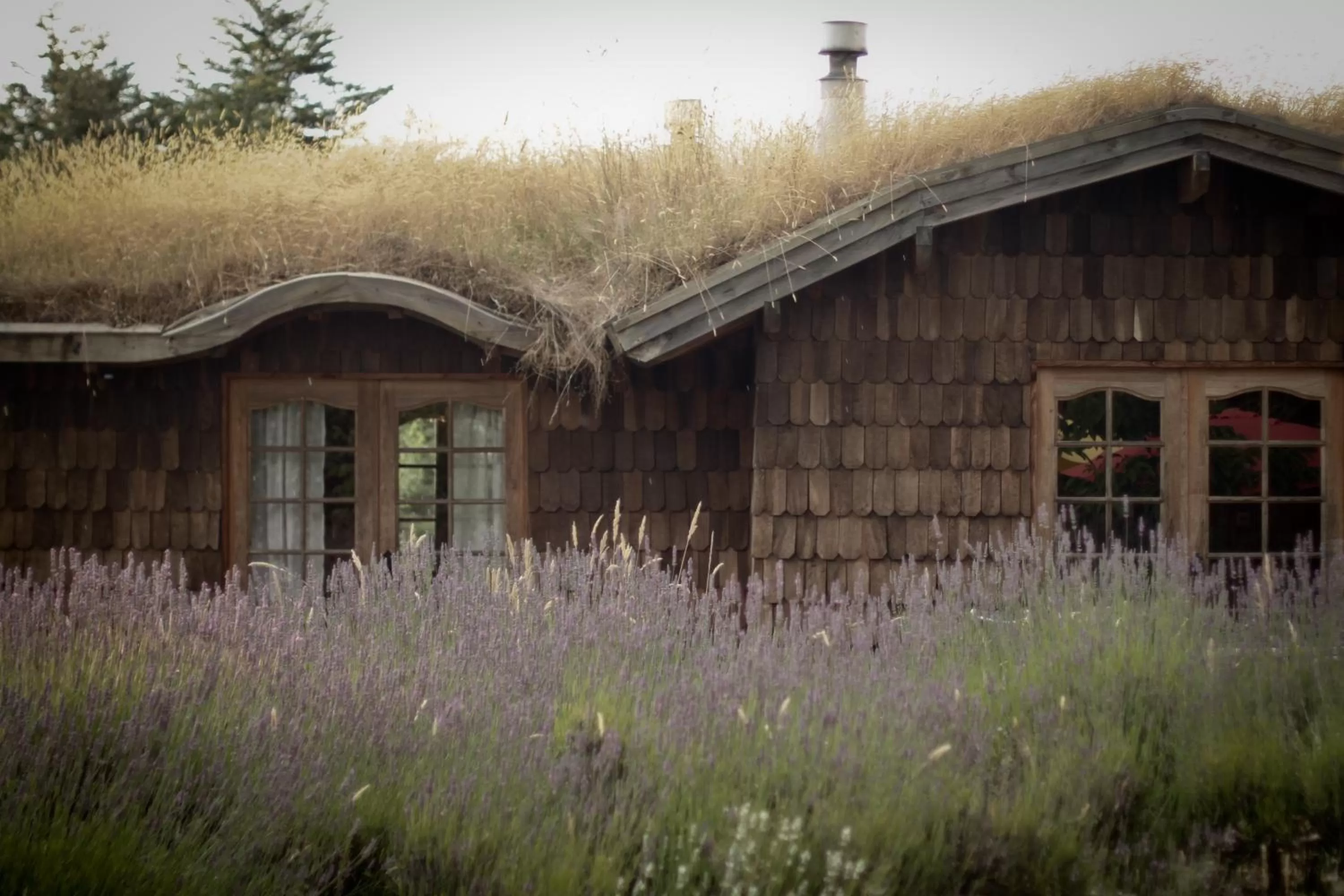 Facade/entrance, Property Building in Hostal Zapato Amarillo