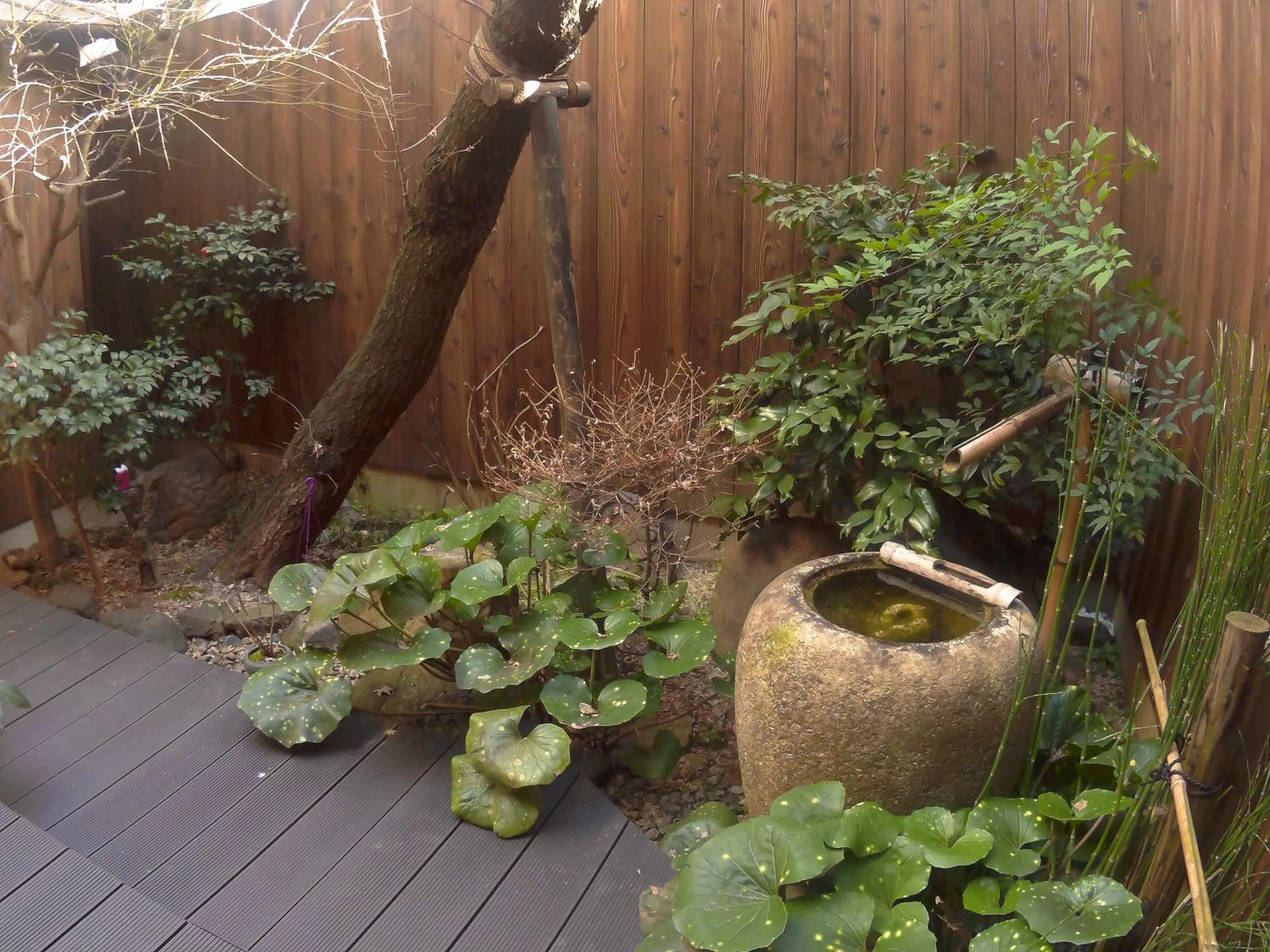 Garden in Guest House Ga-Jyun