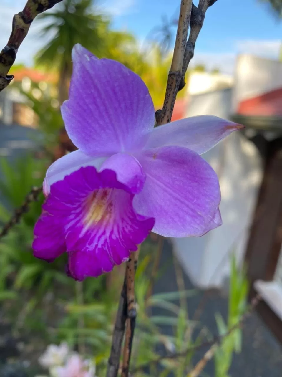Villa Cajou (Chambre d'hôtes chez l'habitant)