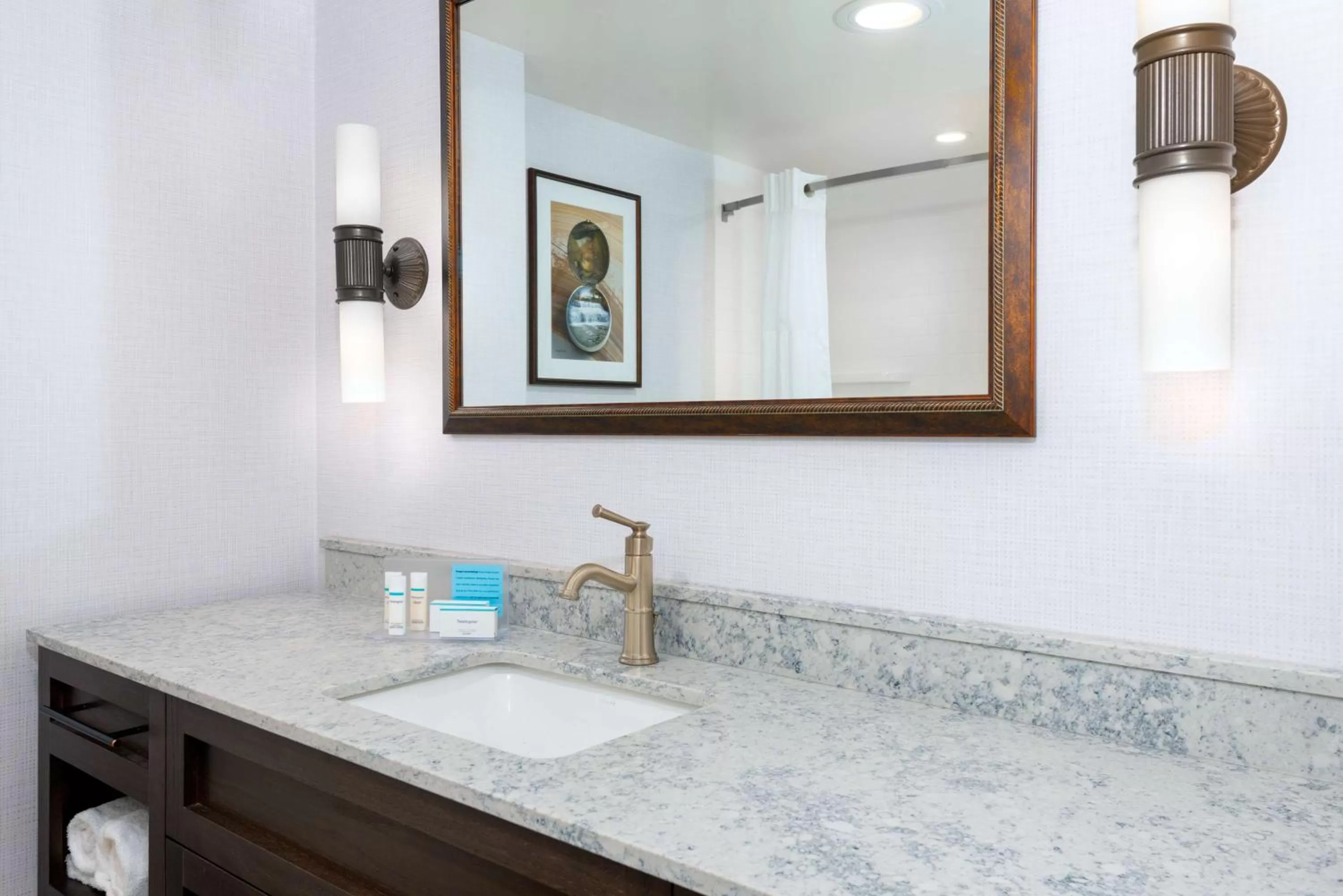 Bathroom in Hampton Inn Buffalo-Williamsville