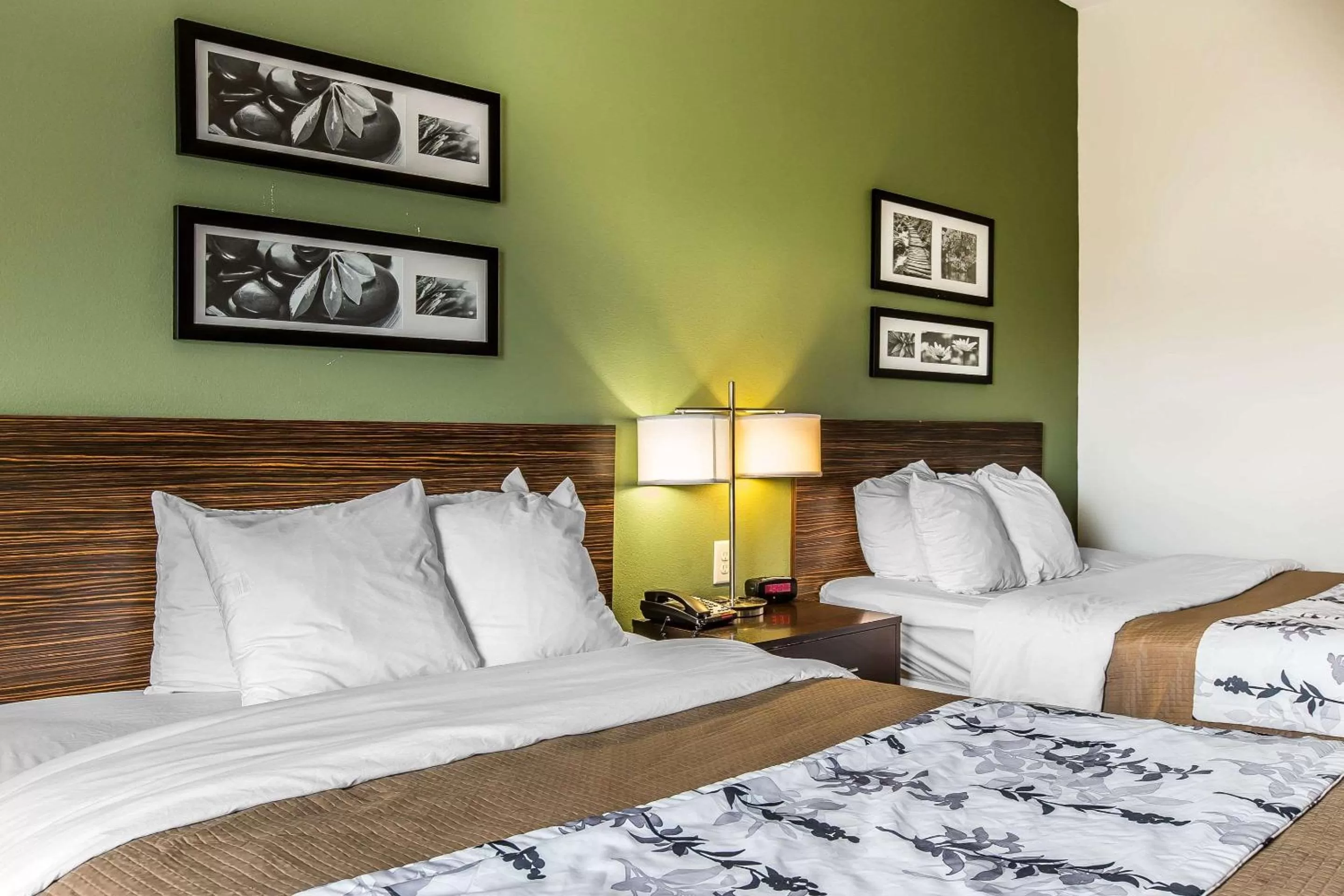 Photo of the whole room, Bed in Sleep Inn & Suites Mount Olive North