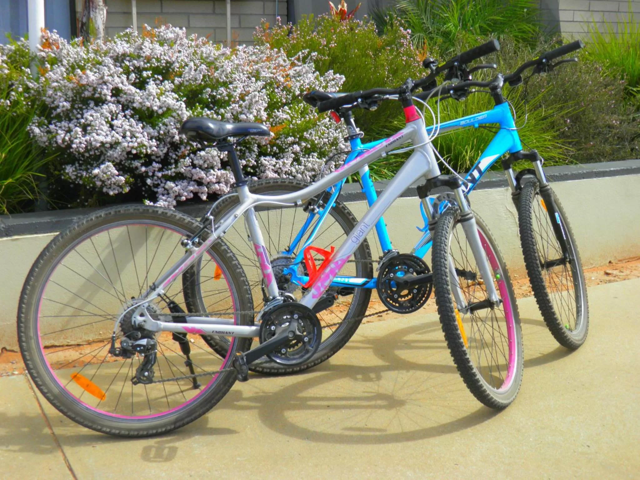 Cycling, Biking in 7th Street Motel