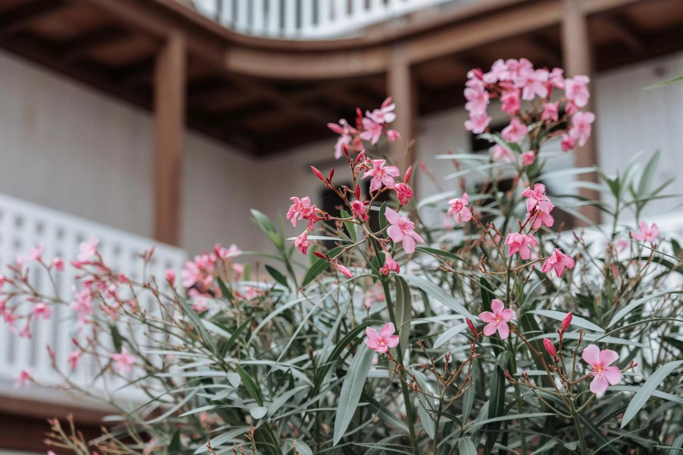 Decorative detail in Hotel Paradis Zandvoort