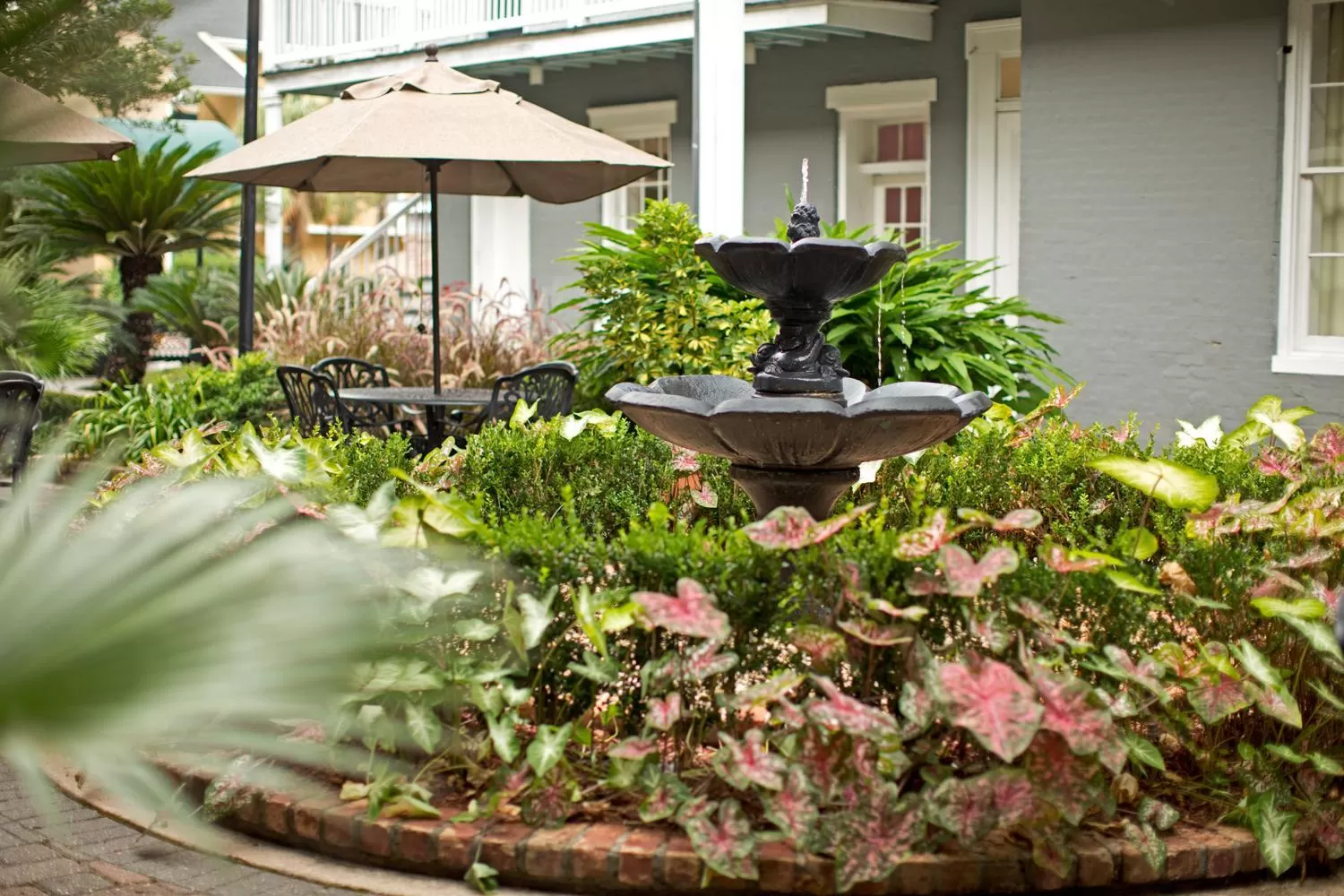 Garden in Maison Saint Charles