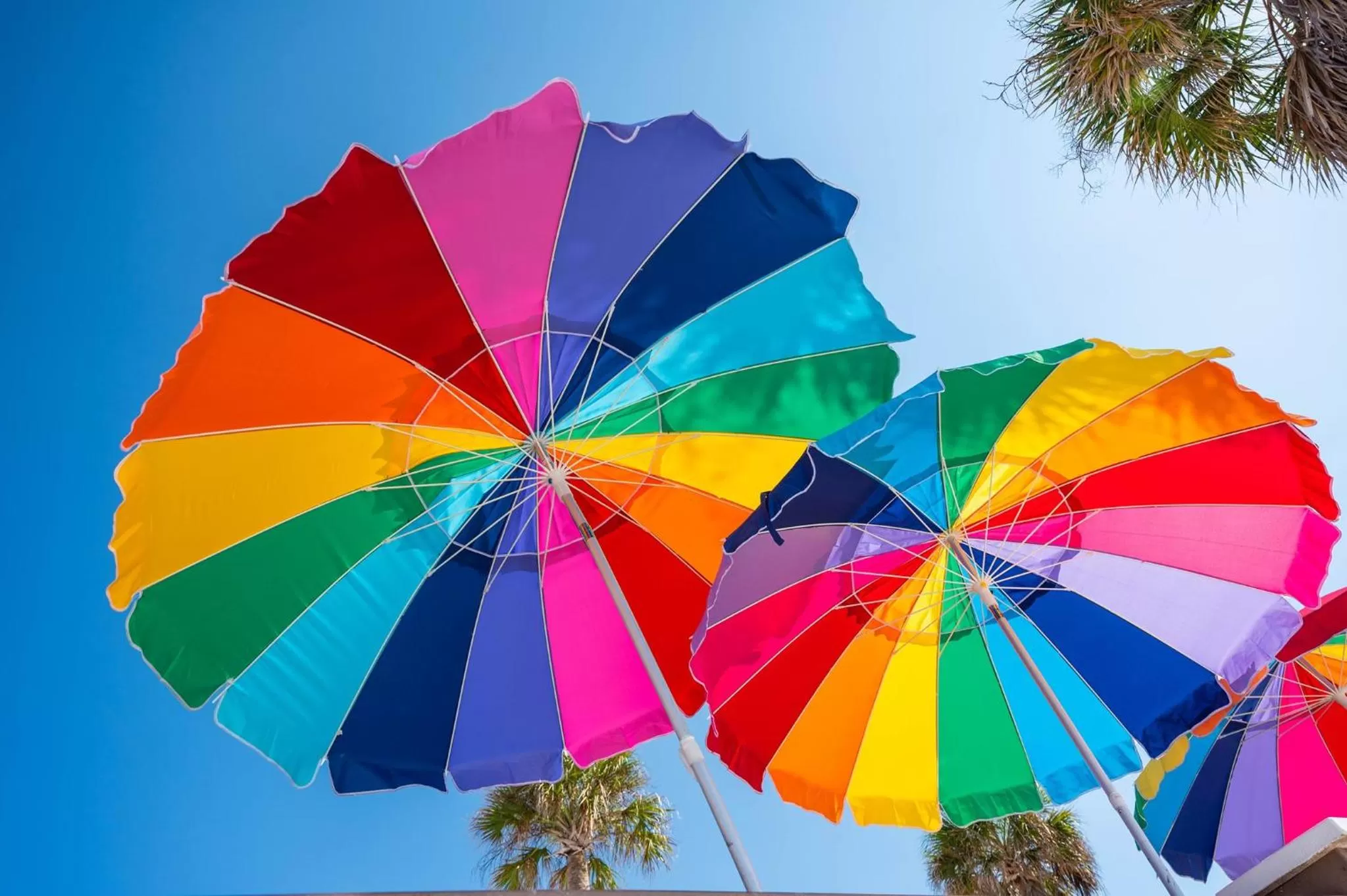 Area and facilities in Candlewood Suites - Safety Harbor by IHG