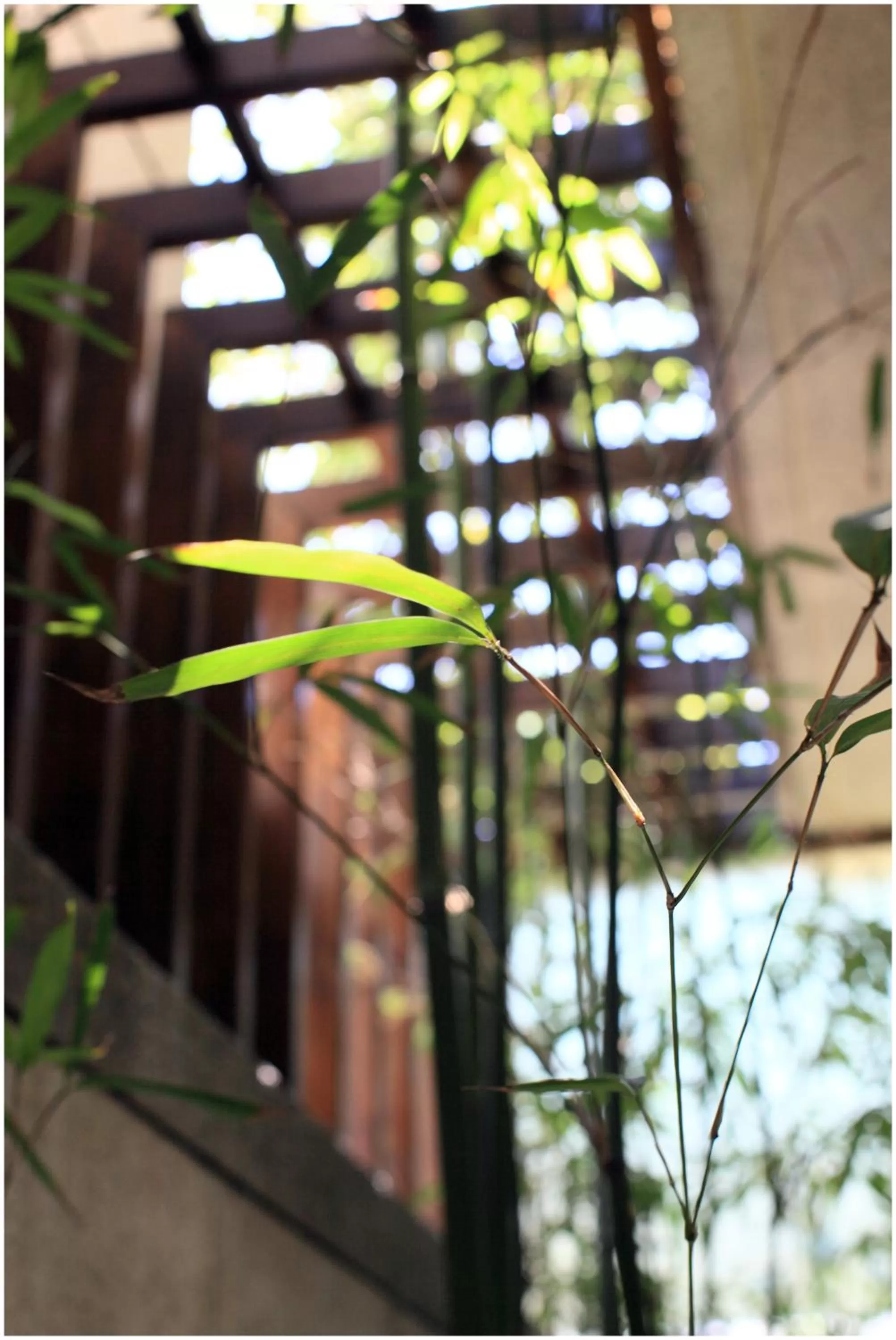 Decorative detail in Errantry Lodge & Studio