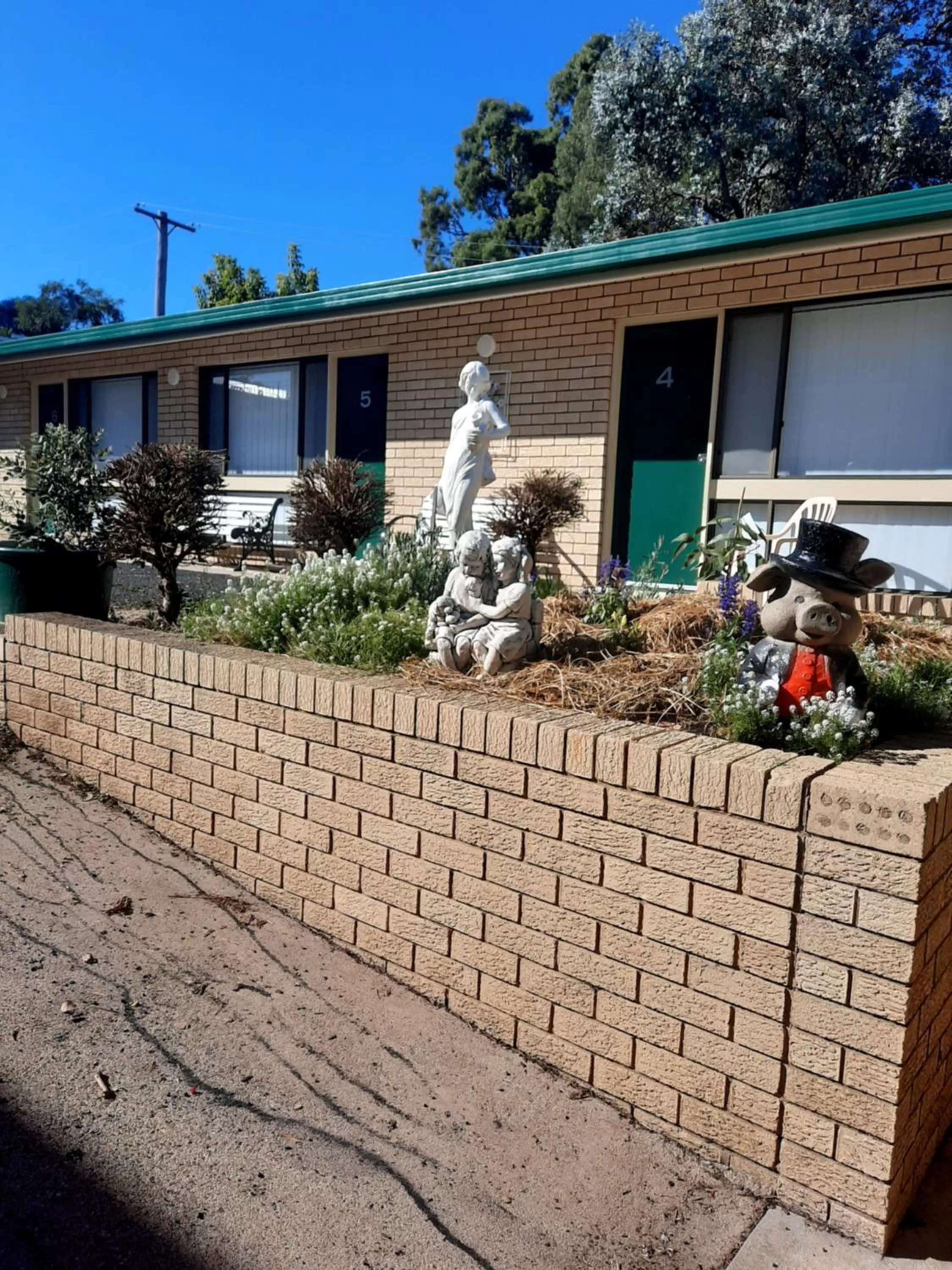 Garden in Bega Southtown Motor Inn