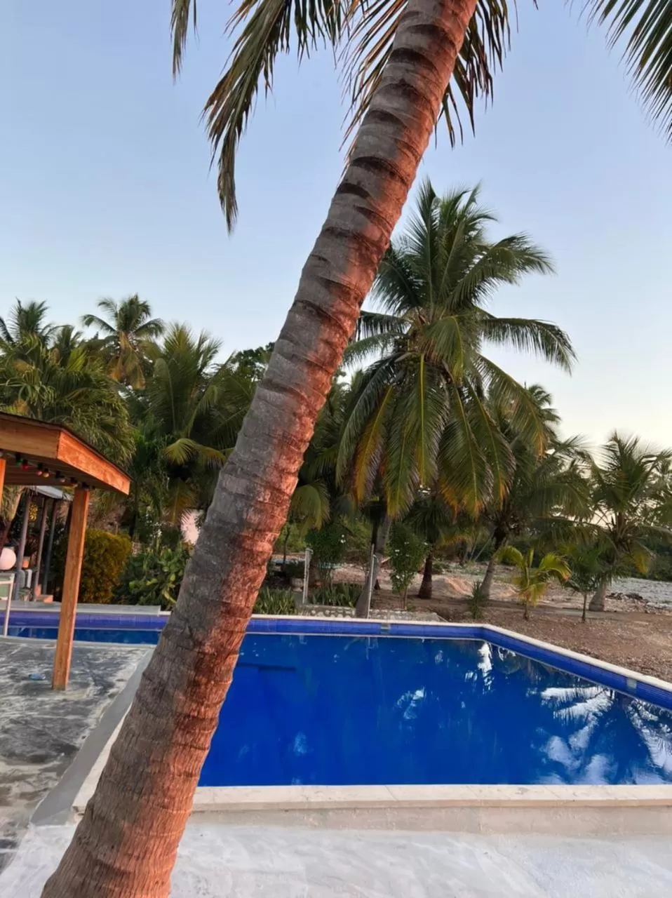 Swimming Pool in Hotel Al Mare