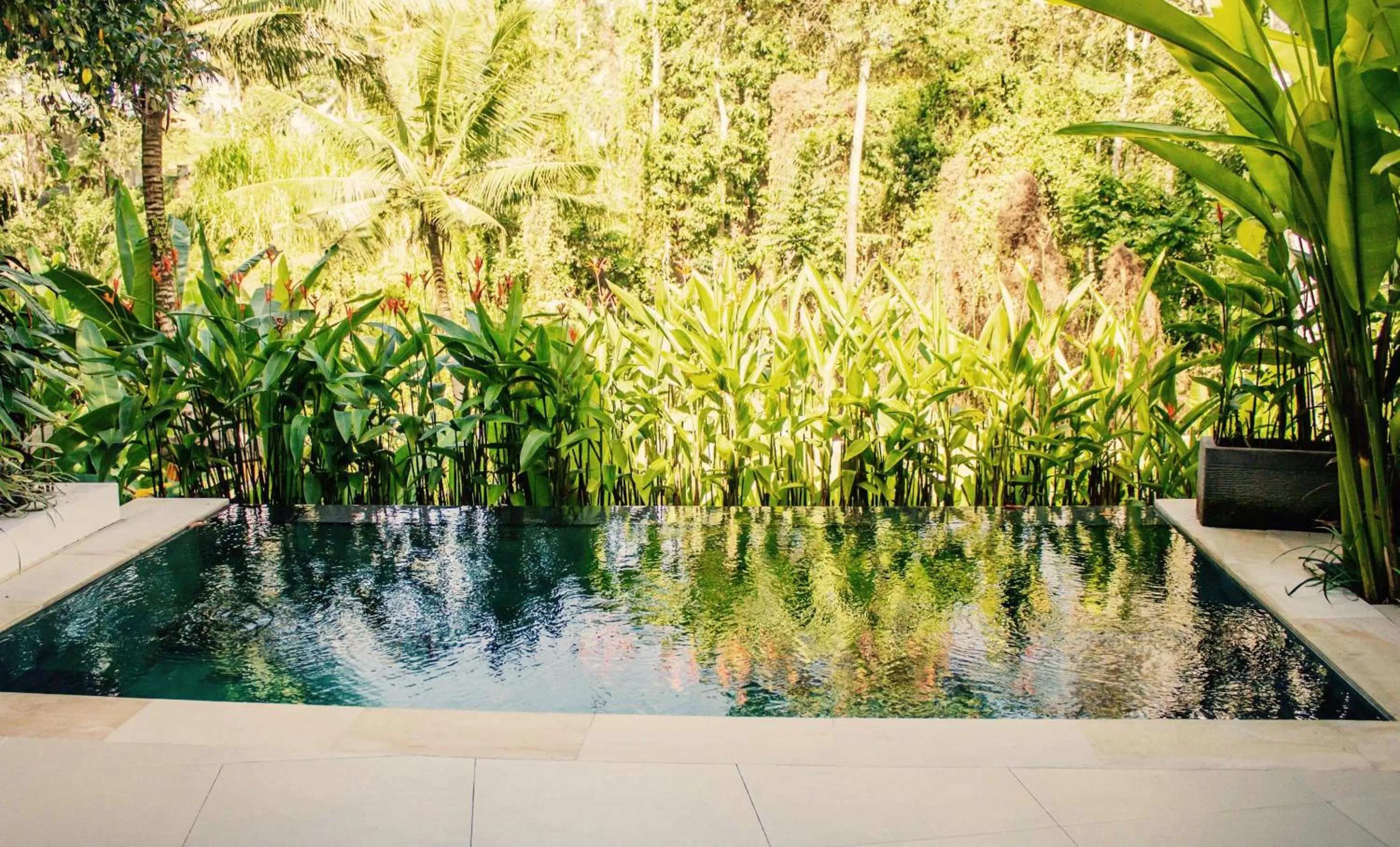 Garden view in Cahaya Indah Villas