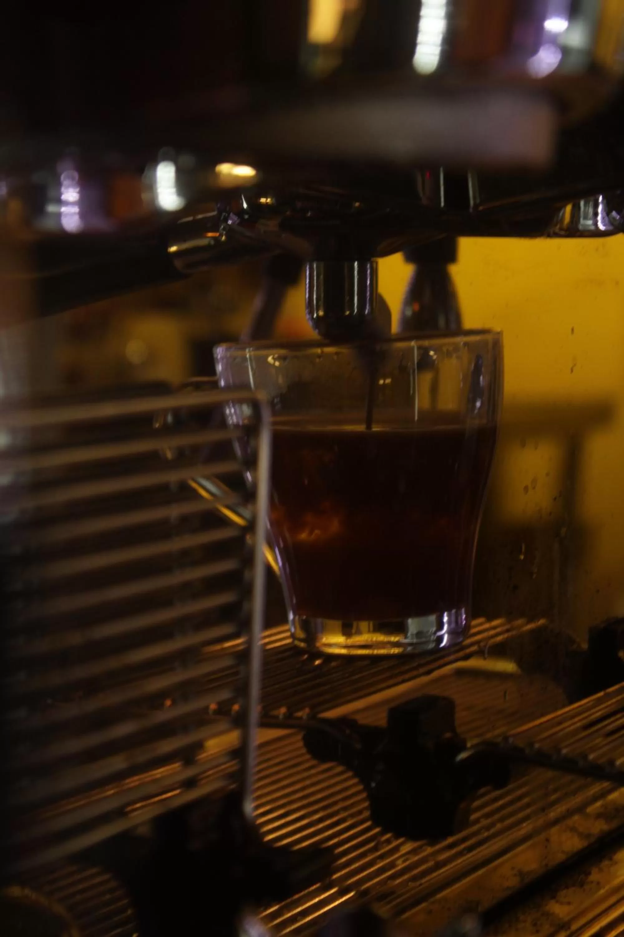 Restaurant/places to eat in Hotel Himalayan Vacation