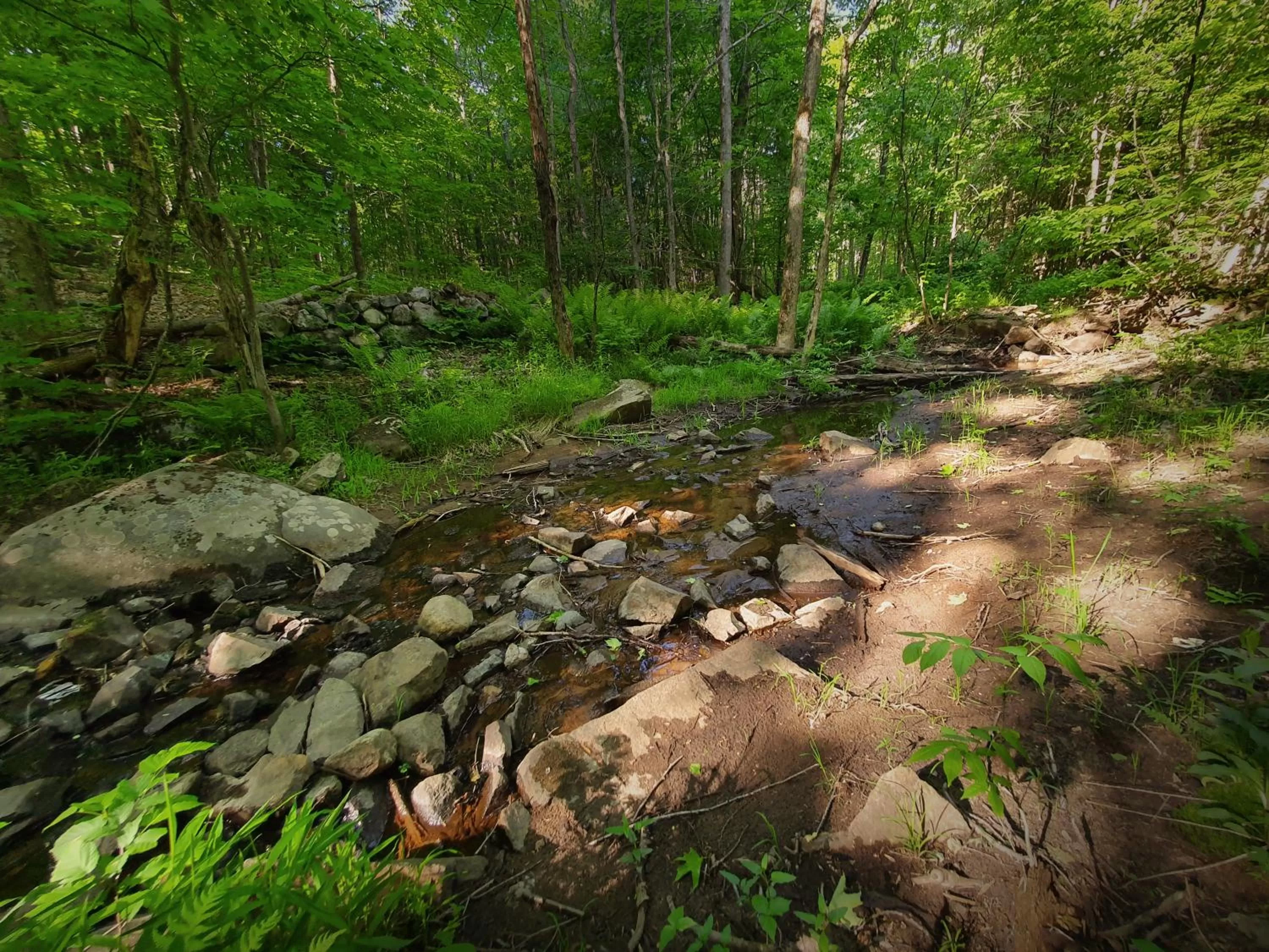 Natural landscape in Le Salon des Inconnus