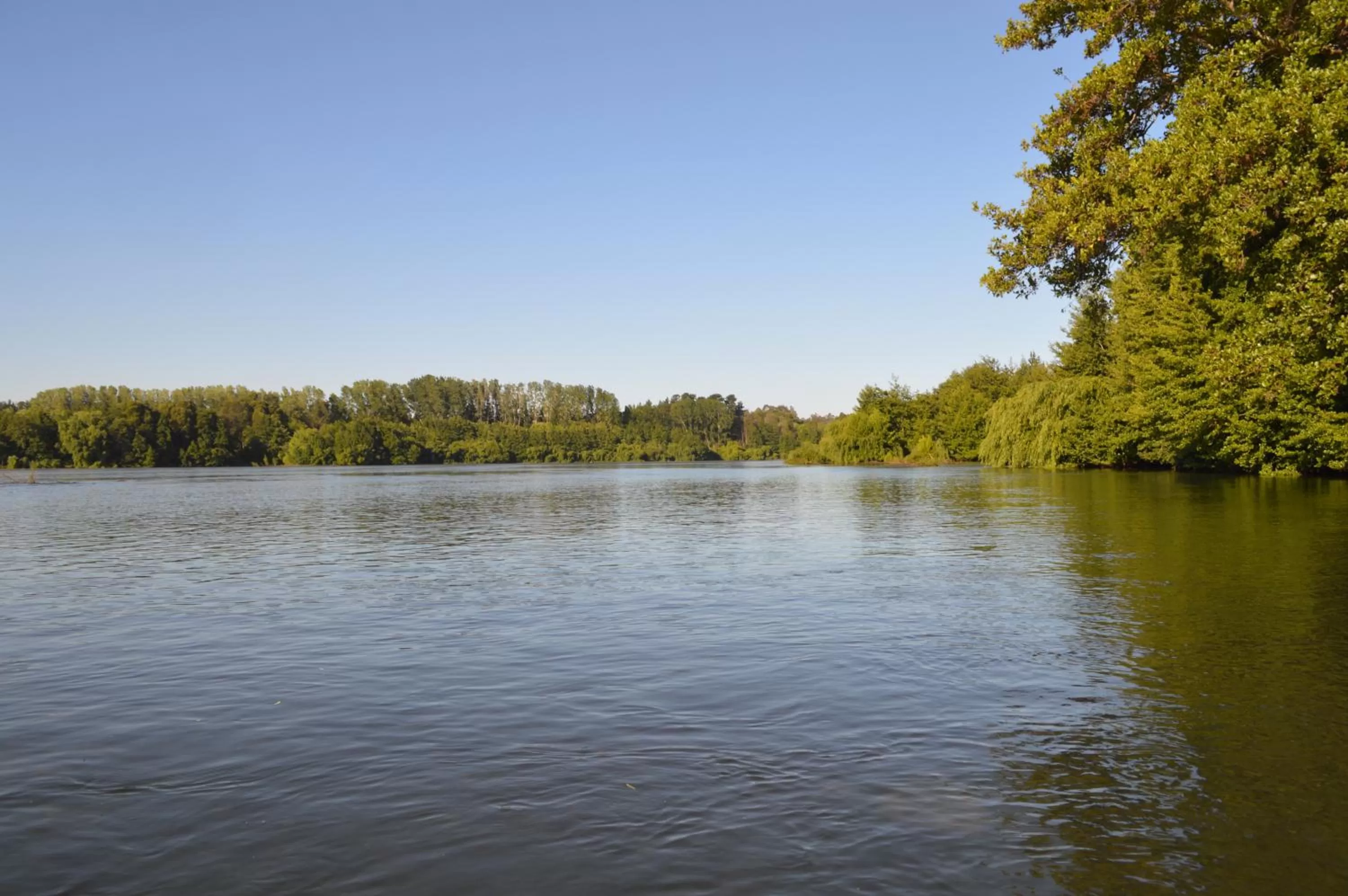 Coyunche Cabañas y Camping Laja & San Rosendo