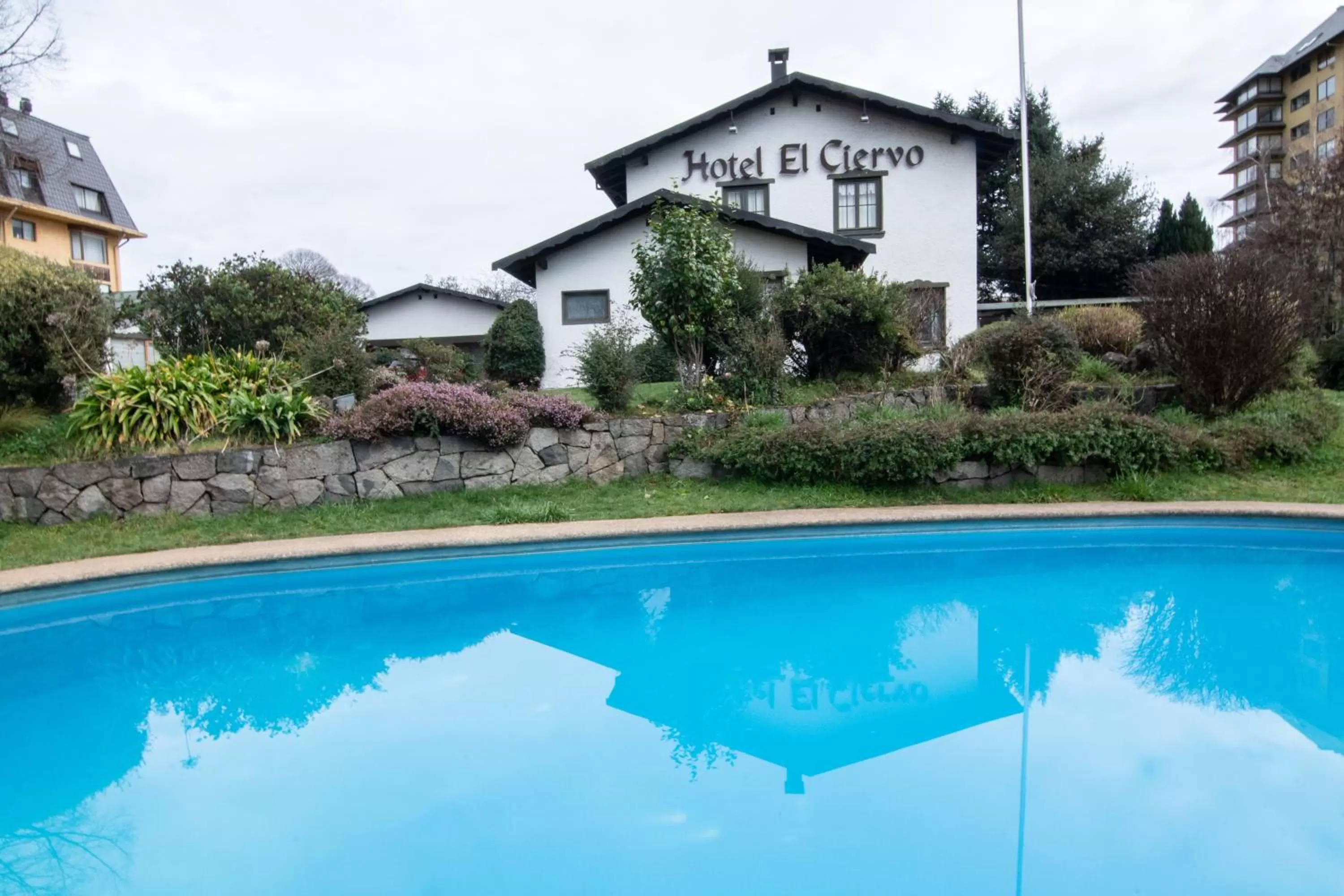 Swimming Pool in Hotel El Ciervo