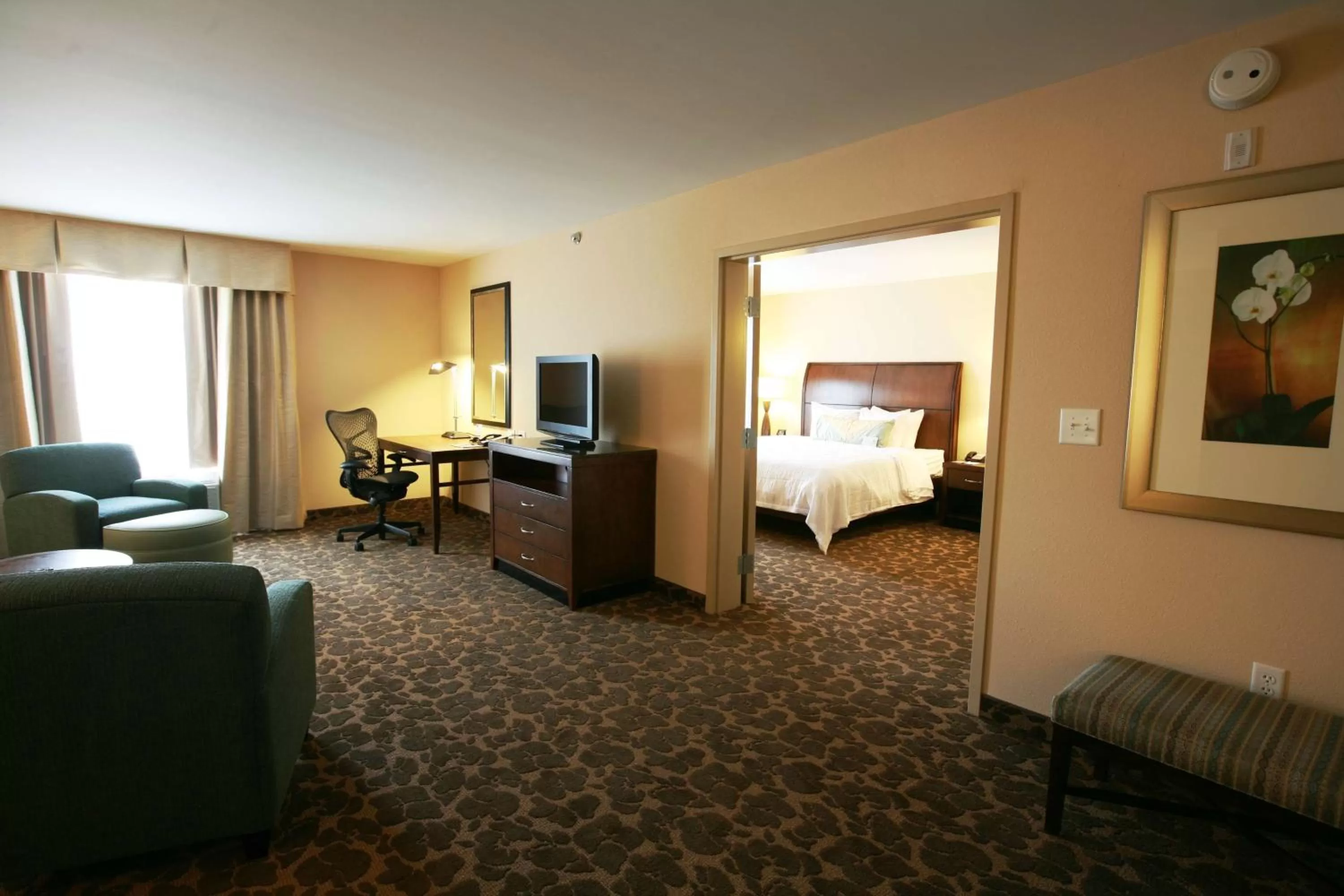 King Room with Roll-In Shower - Disability Access in Hilton Garden Inn Charlotte/Concord