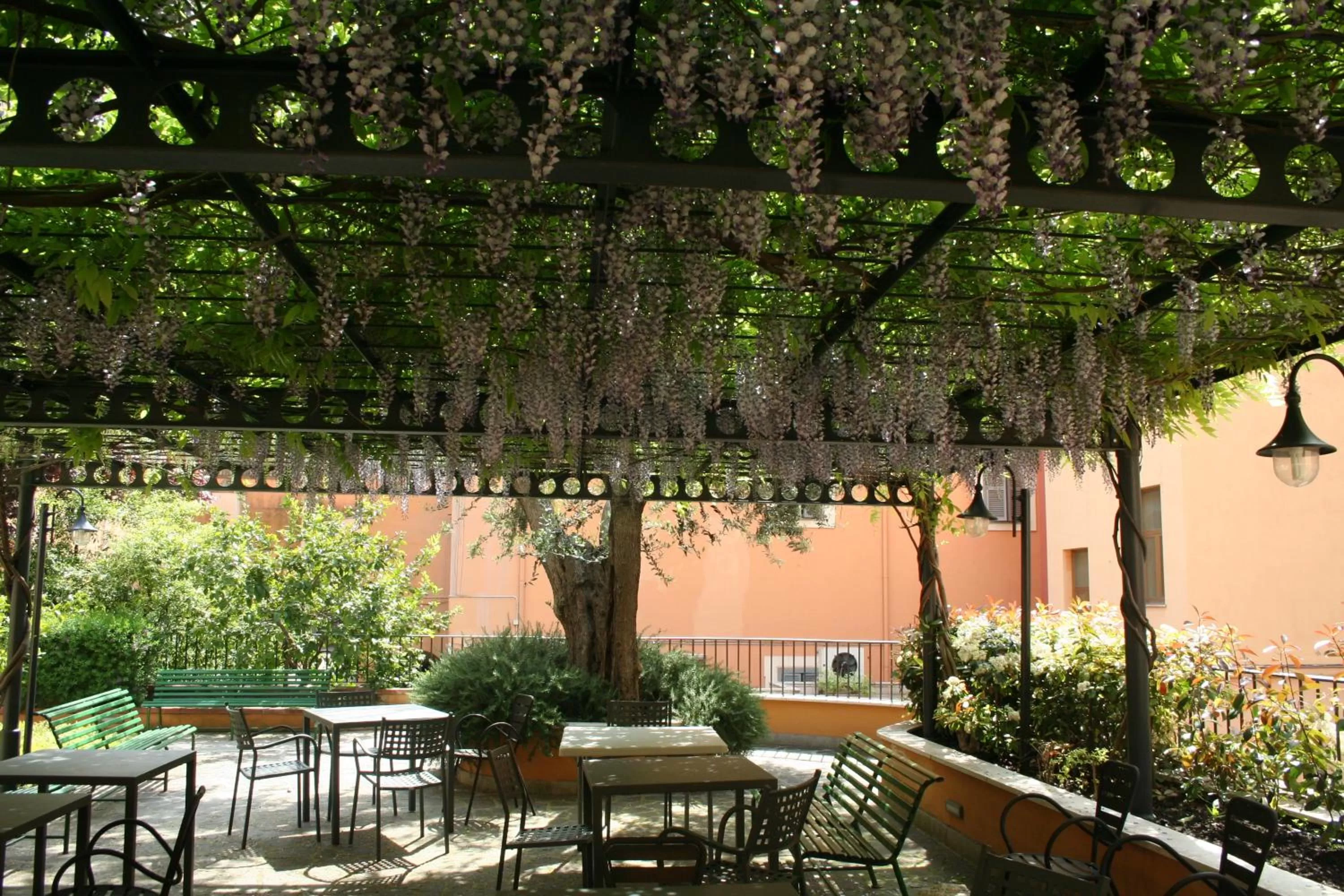 Restaurant/places to eat in Basilica Hotel