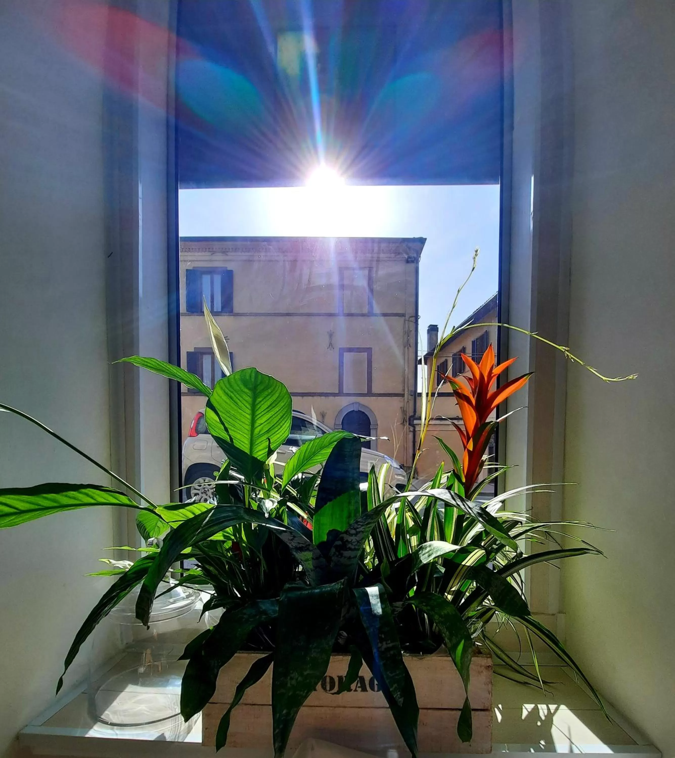 Lobby or reception in Hotel San Francesco e il lupo