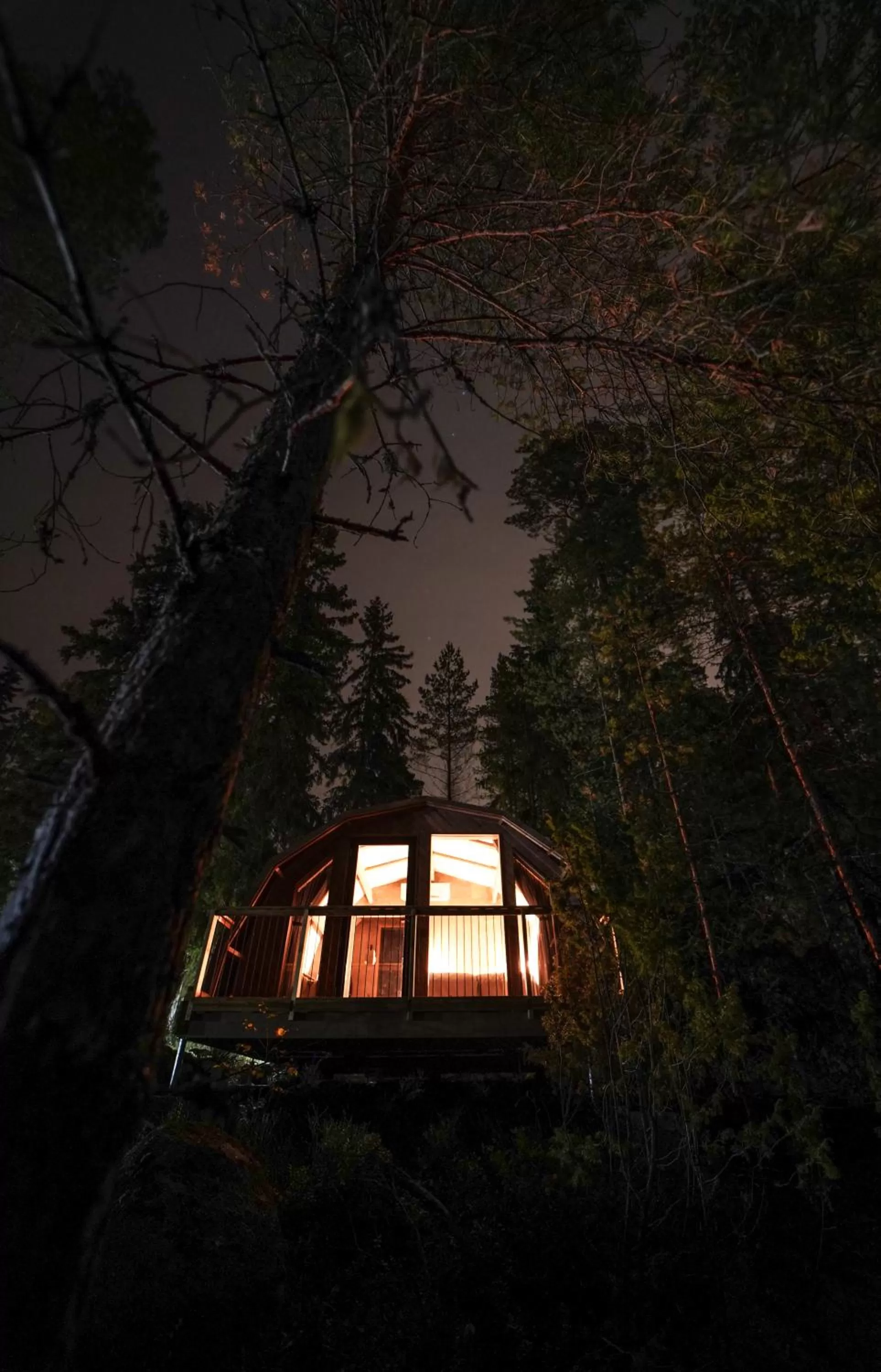 Haltia Lake Lodge nature boutique hotel & glamping