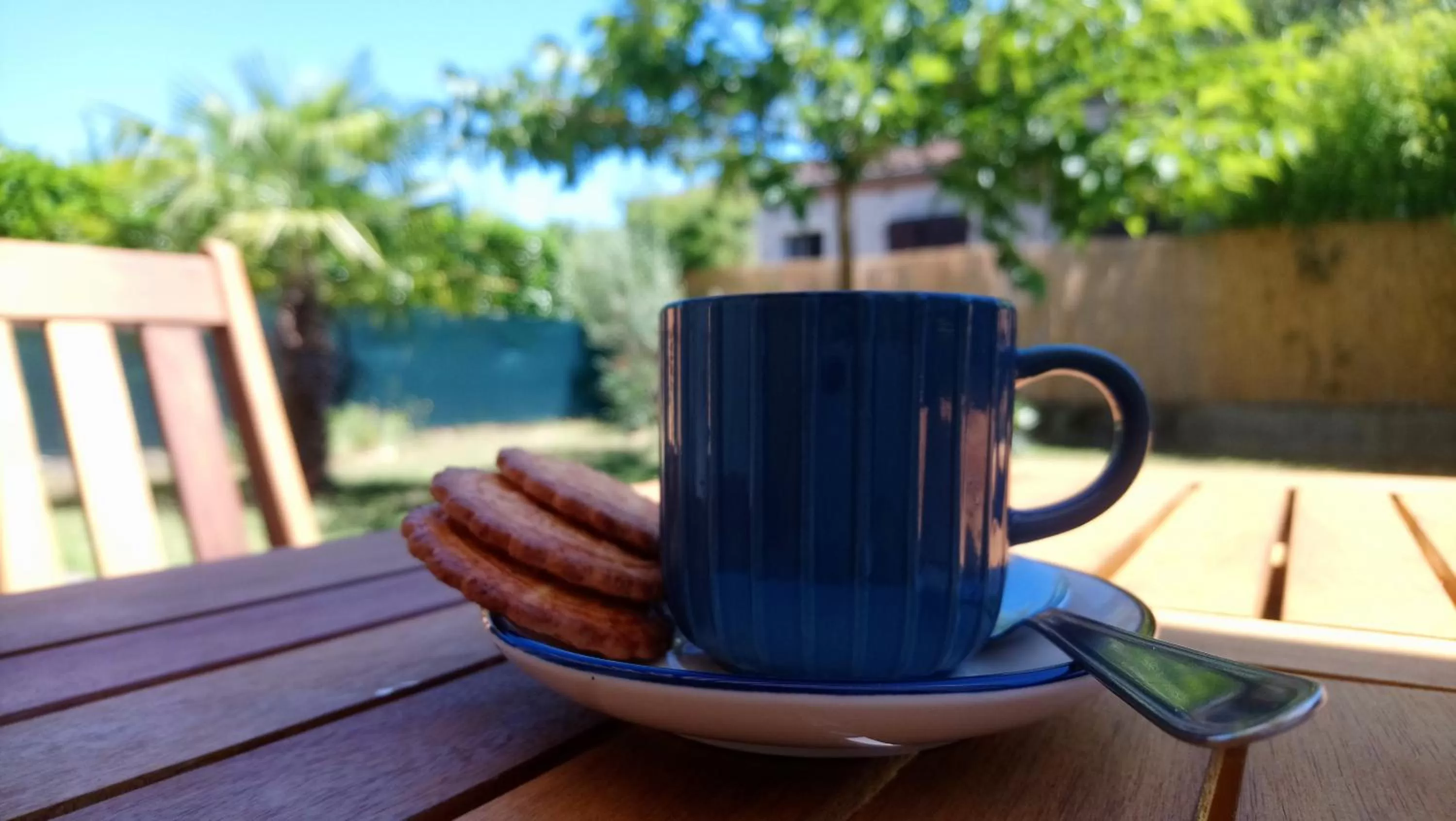 Drinks in Fleurs de Cosmos