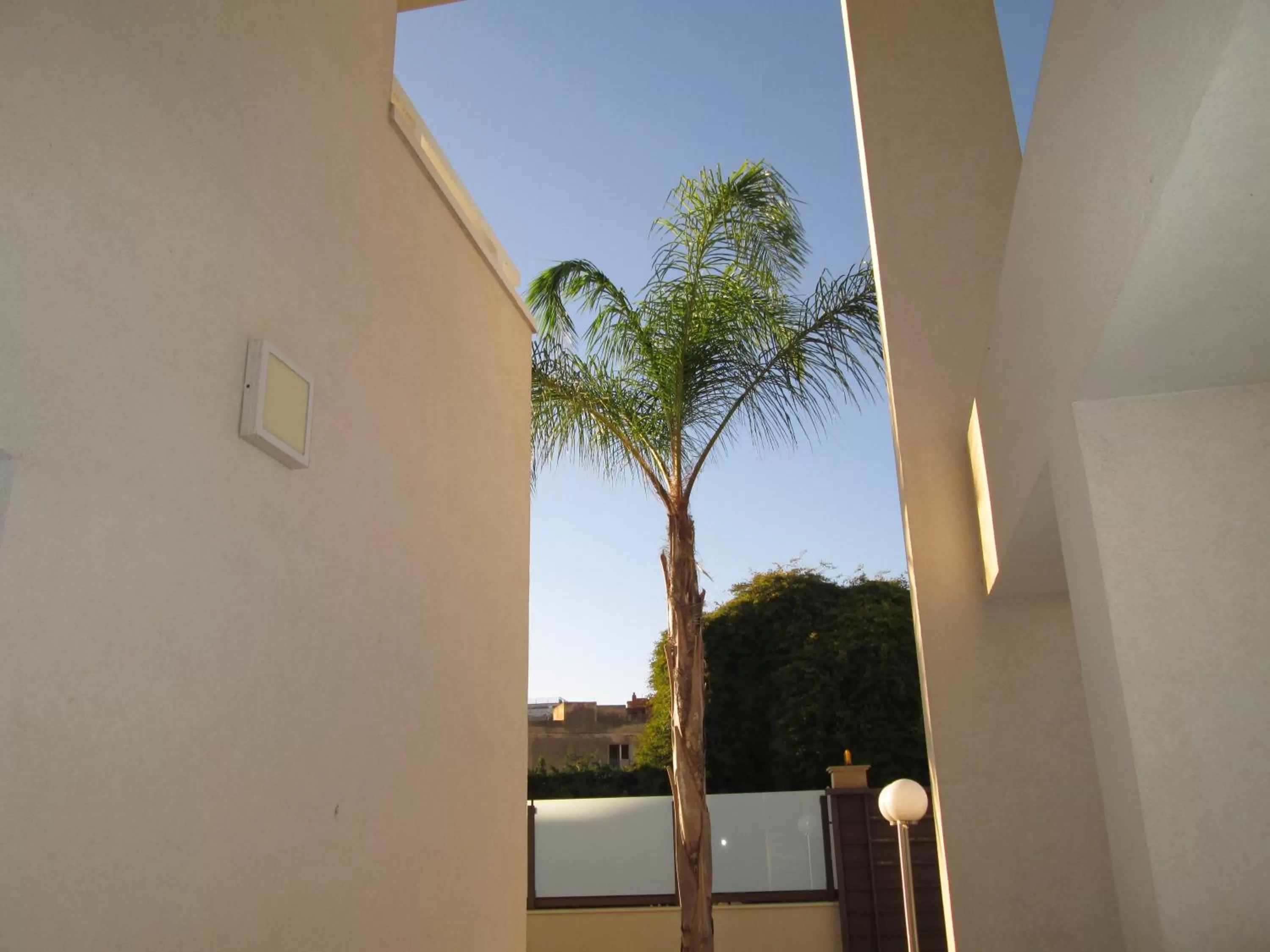 Garden view in B&B Elisir