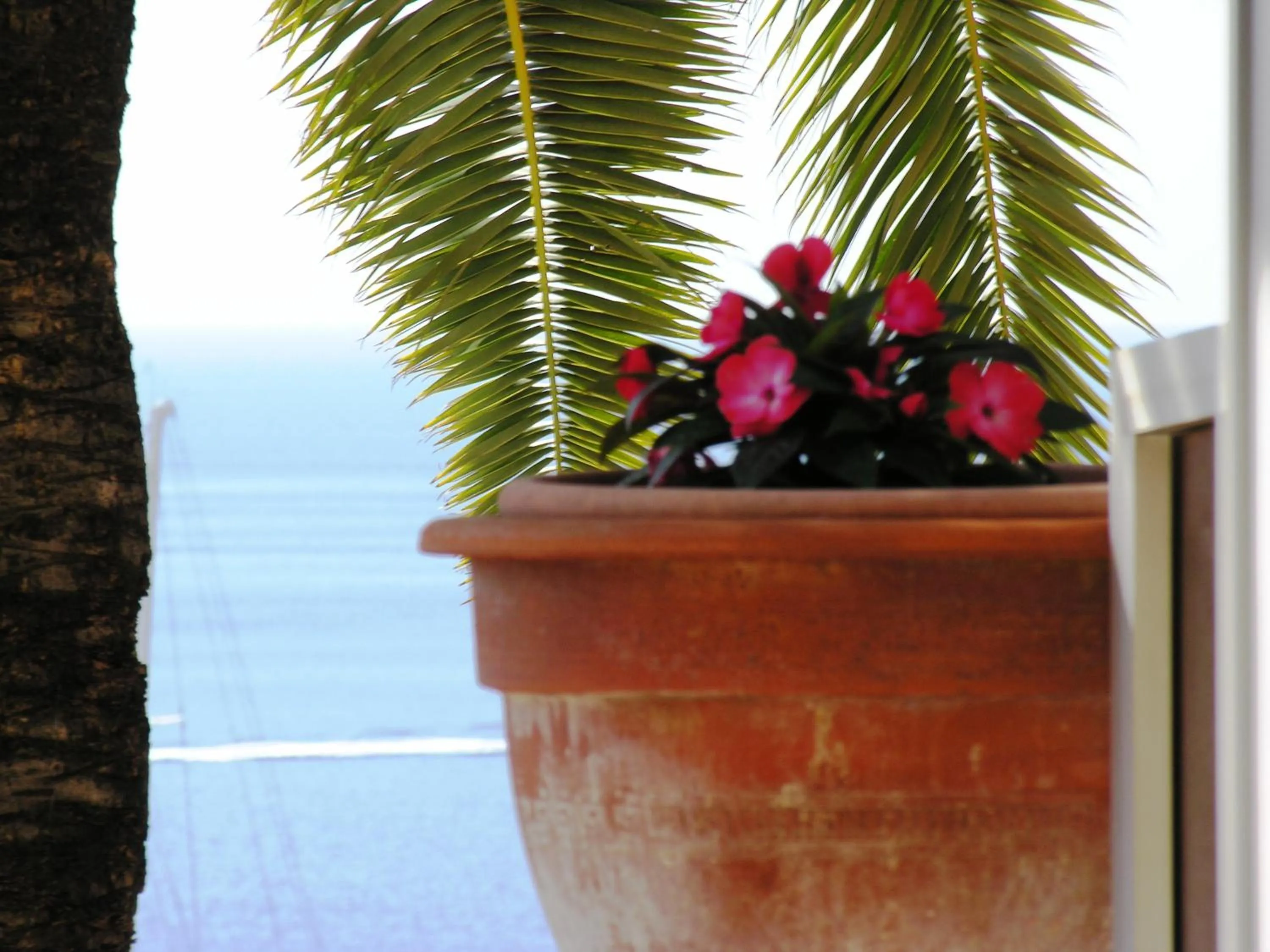 Decorative detail in Hôtel La Flore