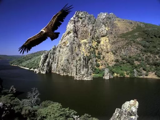 Nearby landmark in POSADA EL ARRIERO