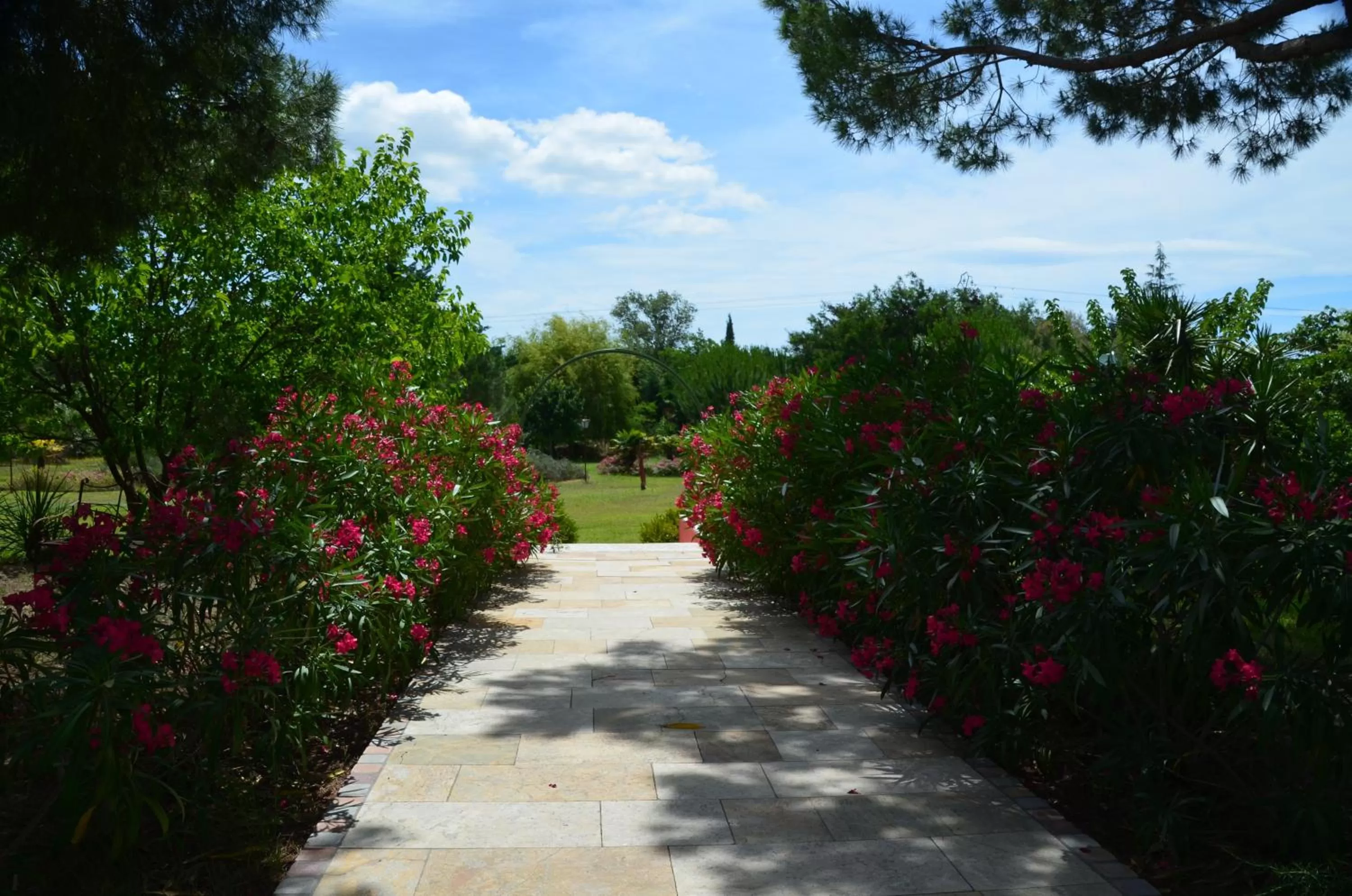 Garden in Mas de la Montille