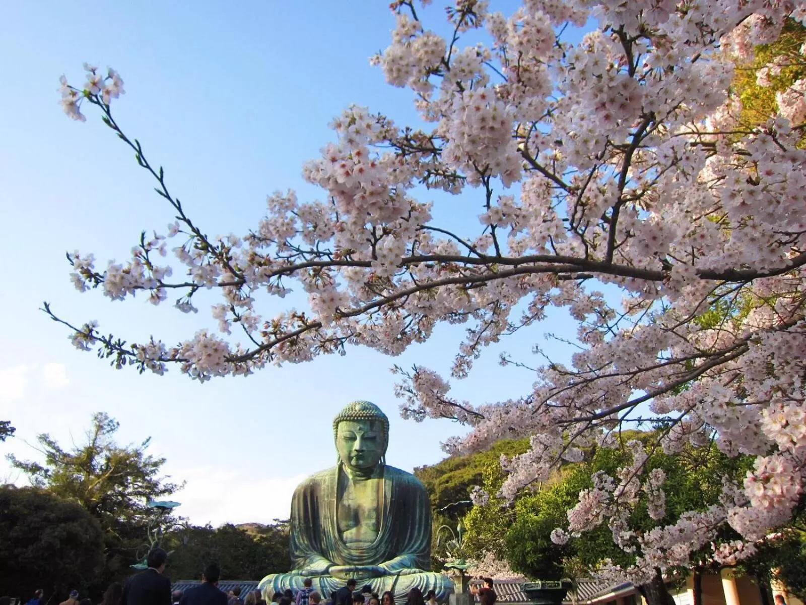 Spring in WeBase KAMAKURA