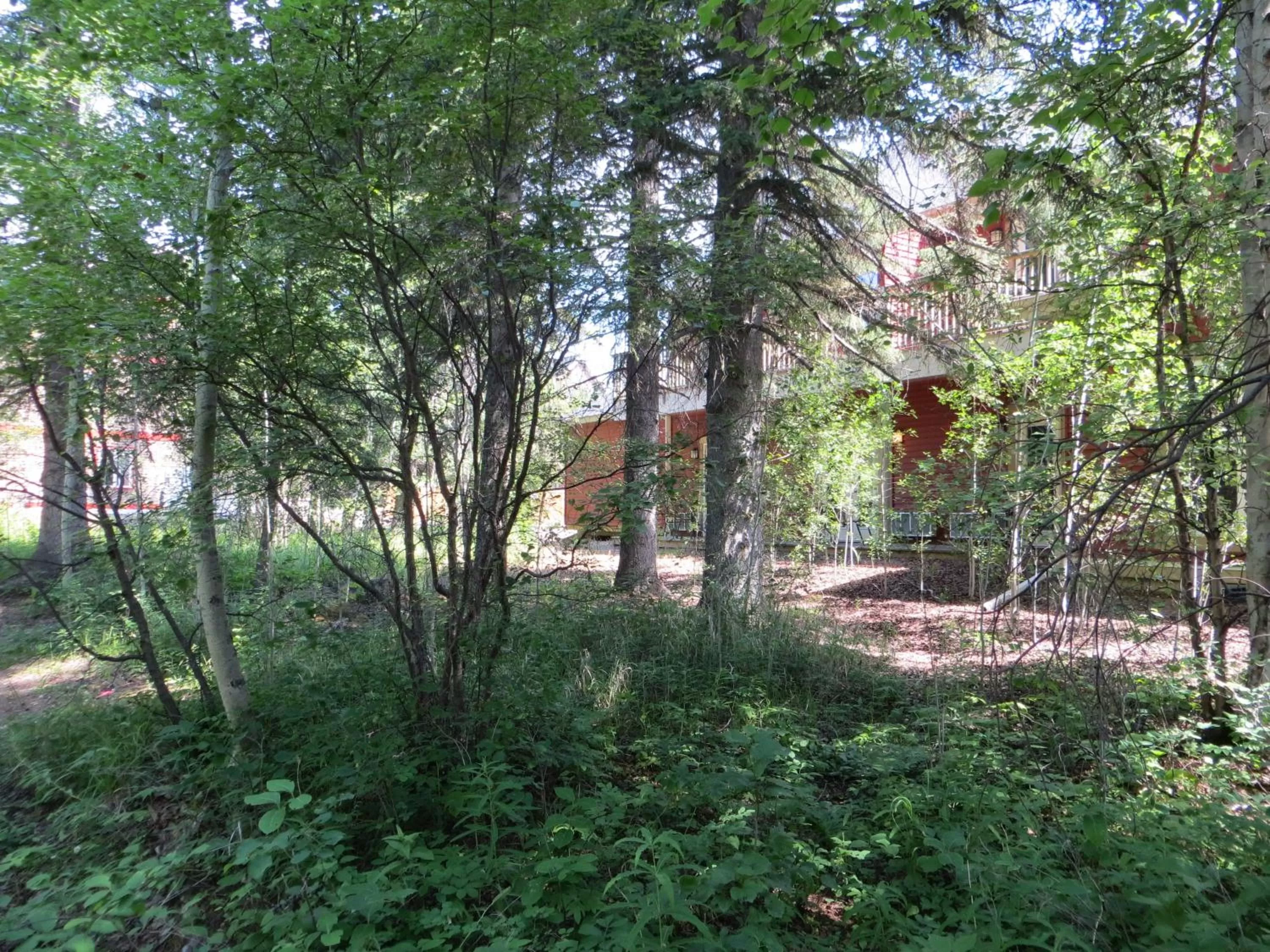 Natural landscape in Village Creek Country Inn