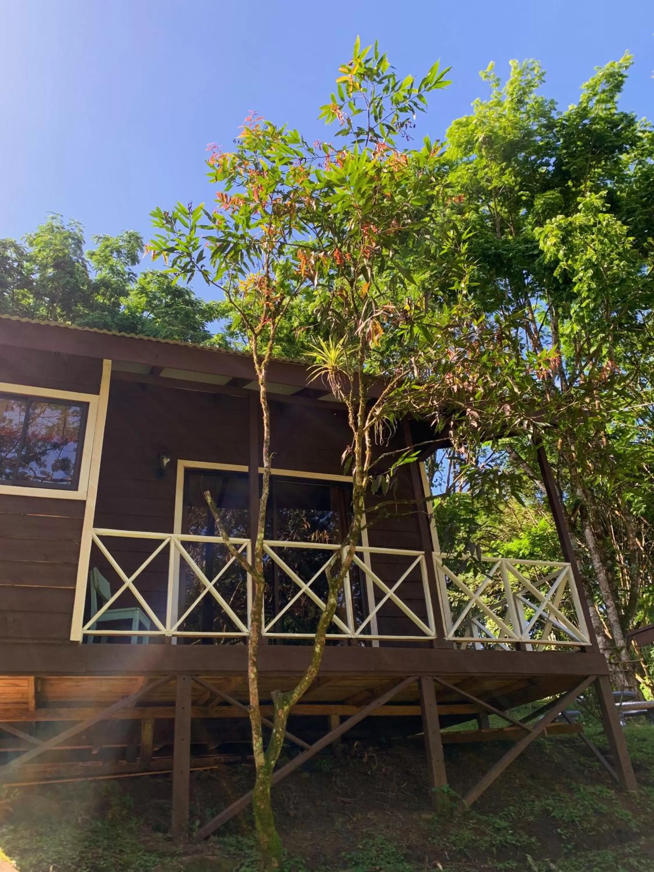 View (from property/room), Property Building in Hospedaje La Naciente